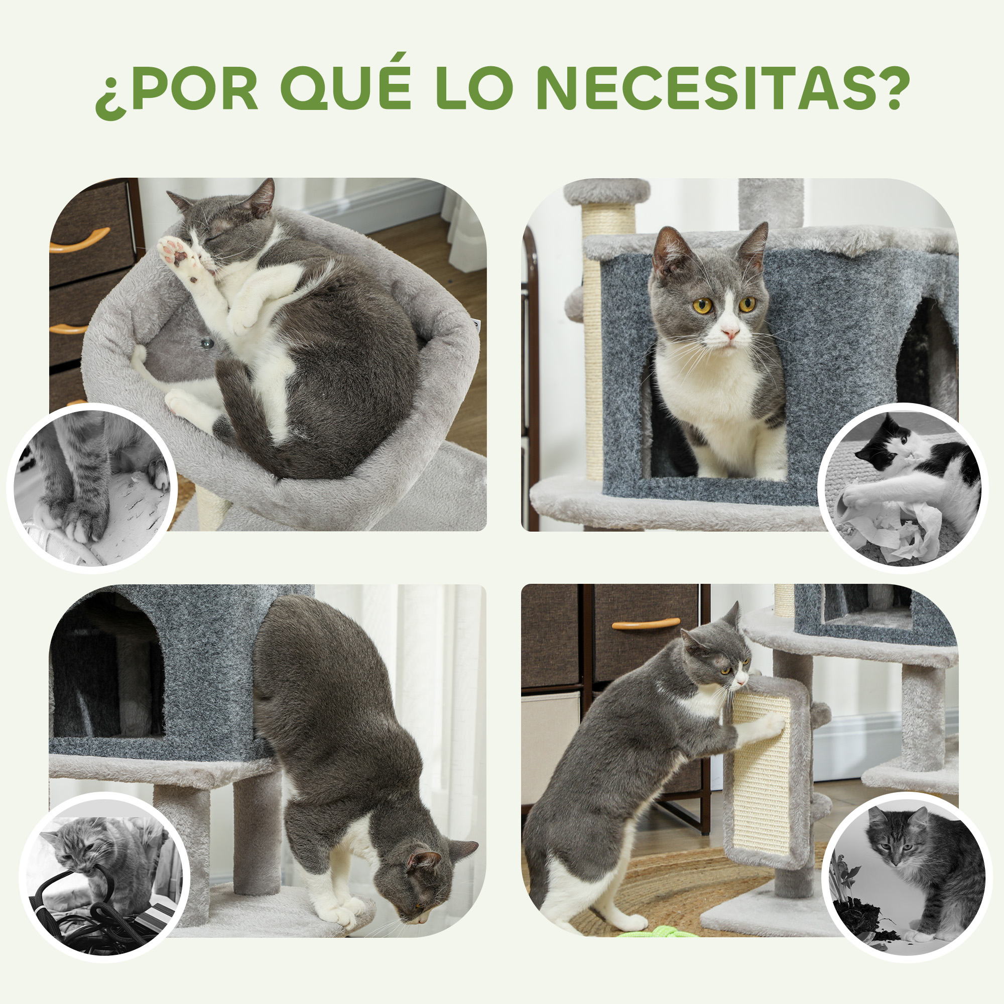 Gatos usando un árbol para gatos, mostrando diferentes usos: dormir, rascar, escalar.