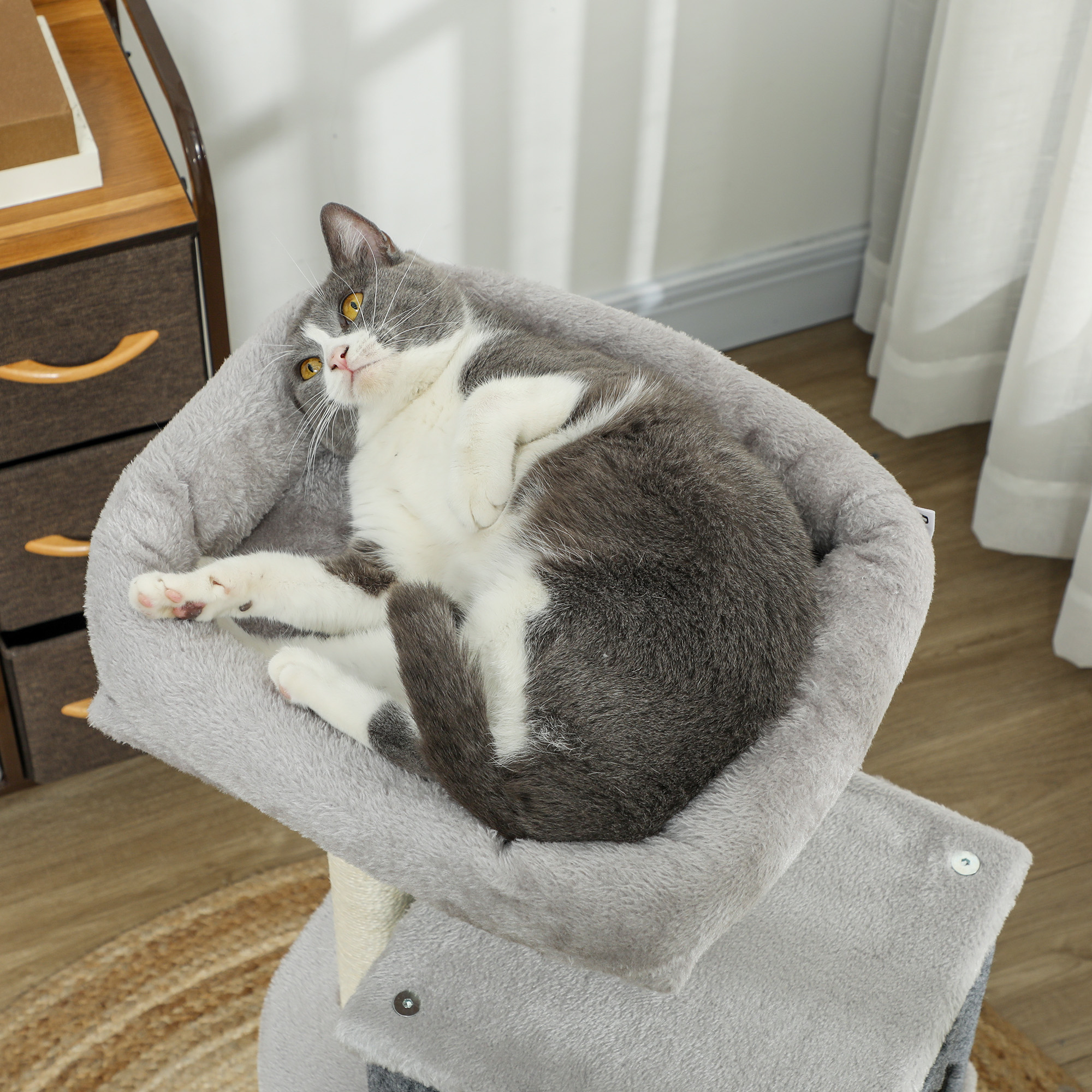 Gatto che riposa su un albero per gatti, sdraiato in un letto.