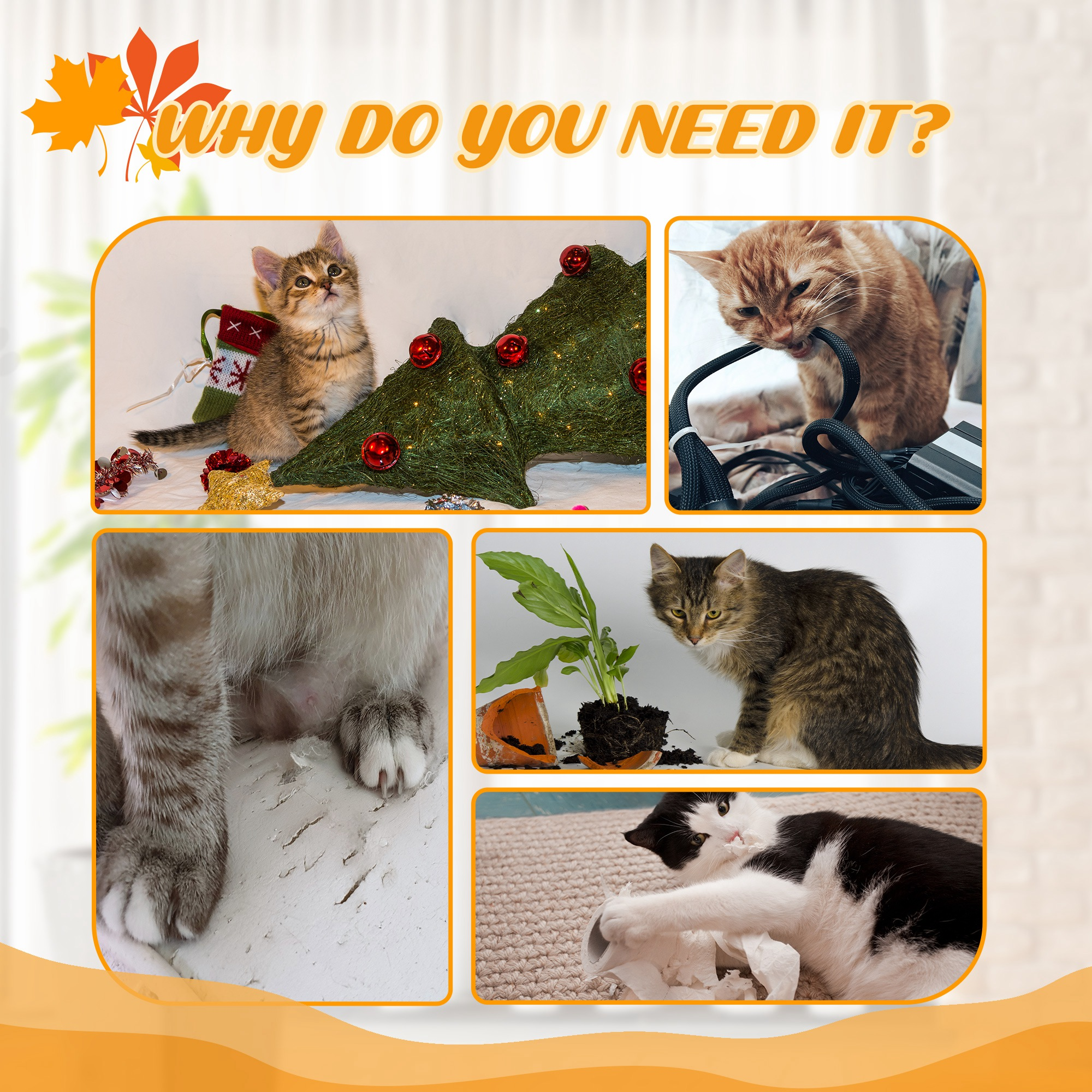 Un collage de gatos interactuando con objetos. Un gato juega, otro mastica, otro cerca de una planta.