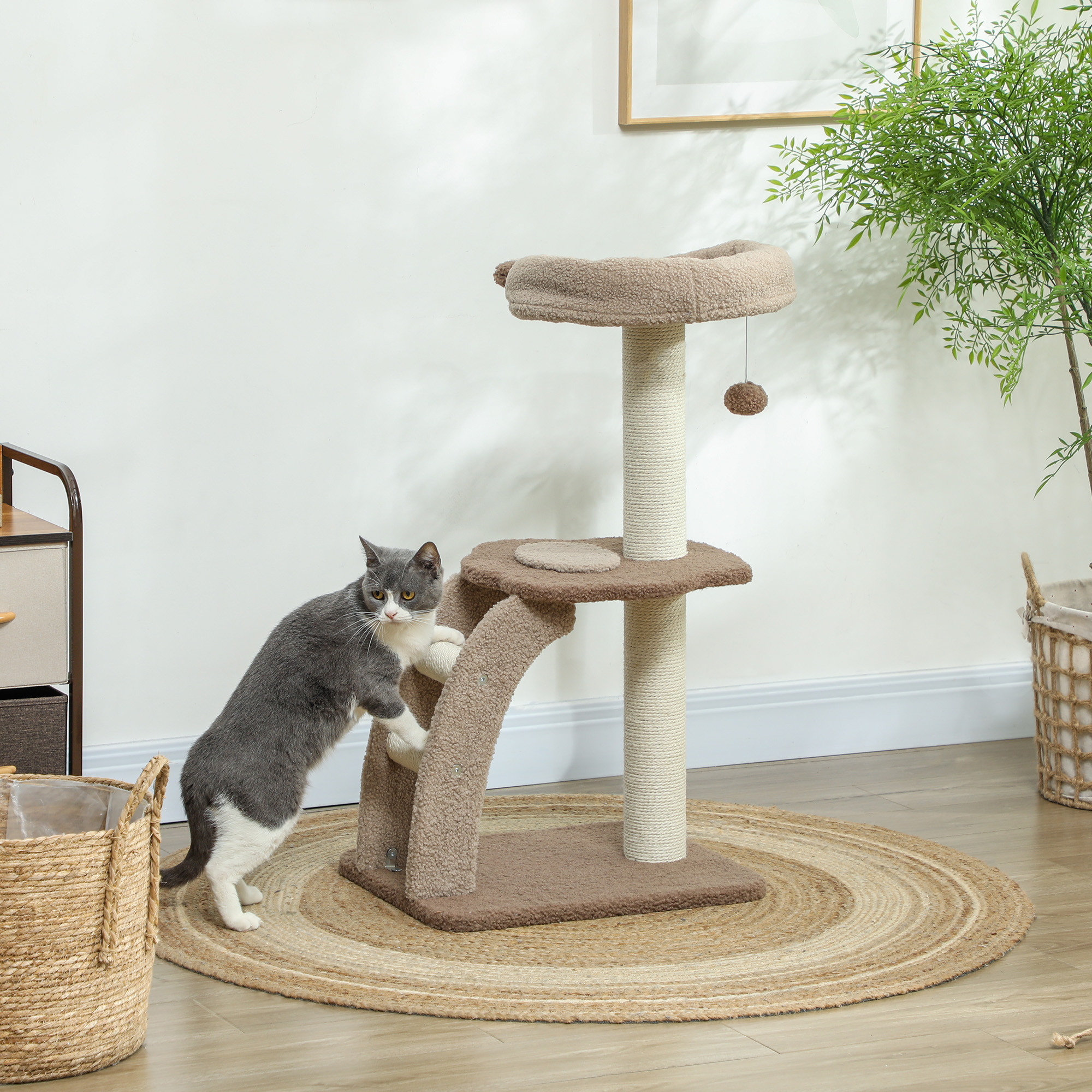 Un gato gris sube a un árbol para gatos con plataformas y un juguete colgante. Una alfombra y una planta en el fondo.