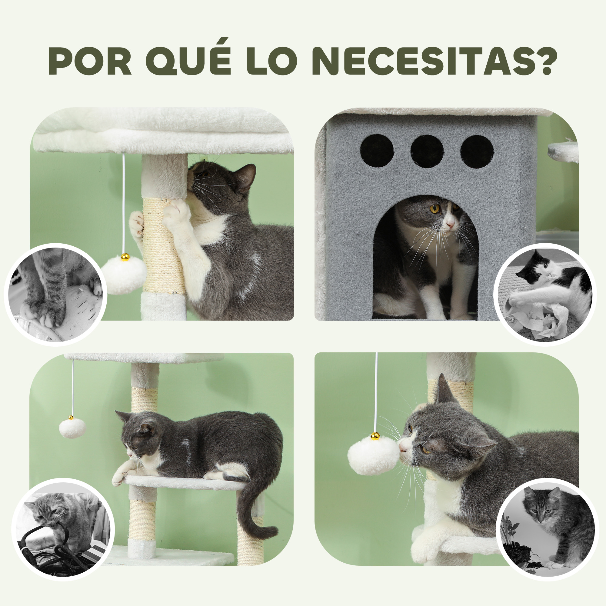 Gatos jugando en un árbol para gatos. Gatos interactuando con juguetes y descansando.