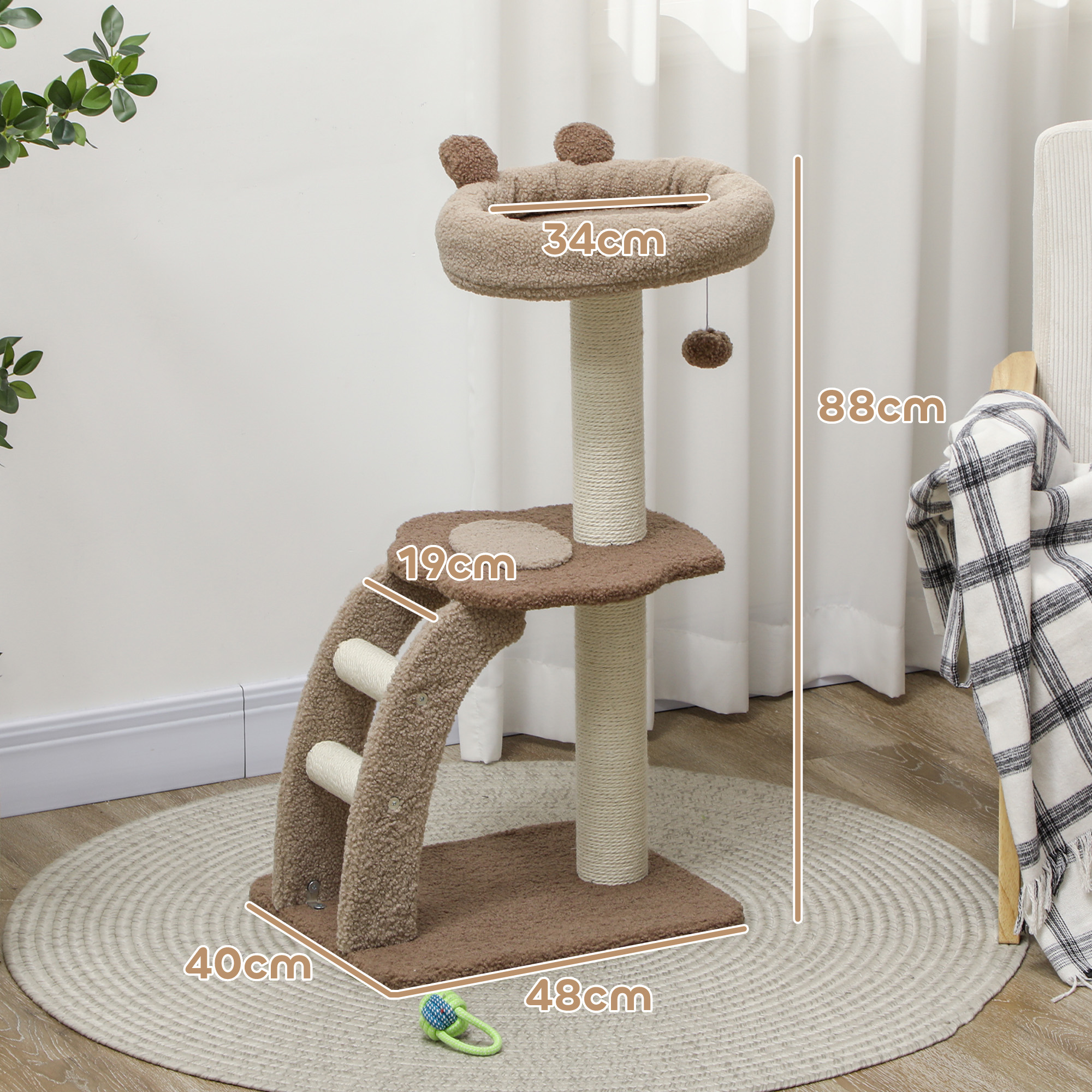 Árbol para gatos, con dimensiones, incluye cama y juguete colgante sobre base redonda.