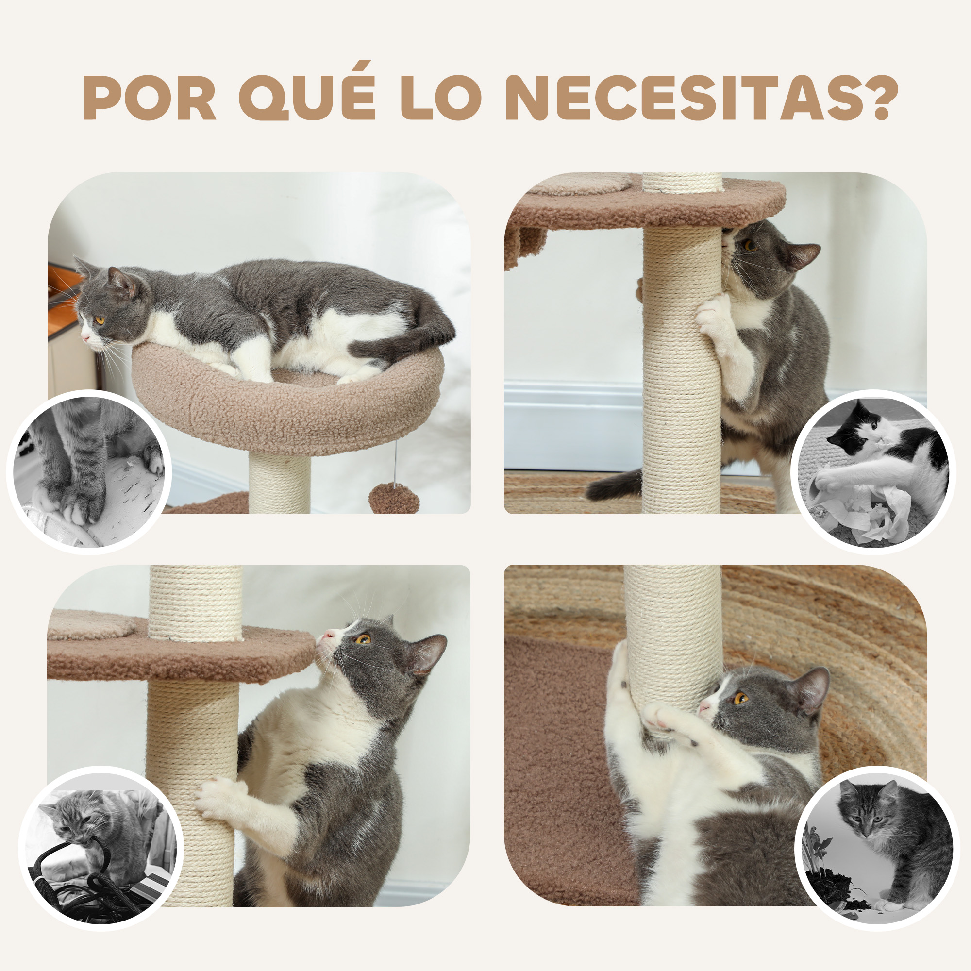 Gatos jugando en un rascador. Imágenes muestran gatos rascando, descansando y jugando en el árbol.