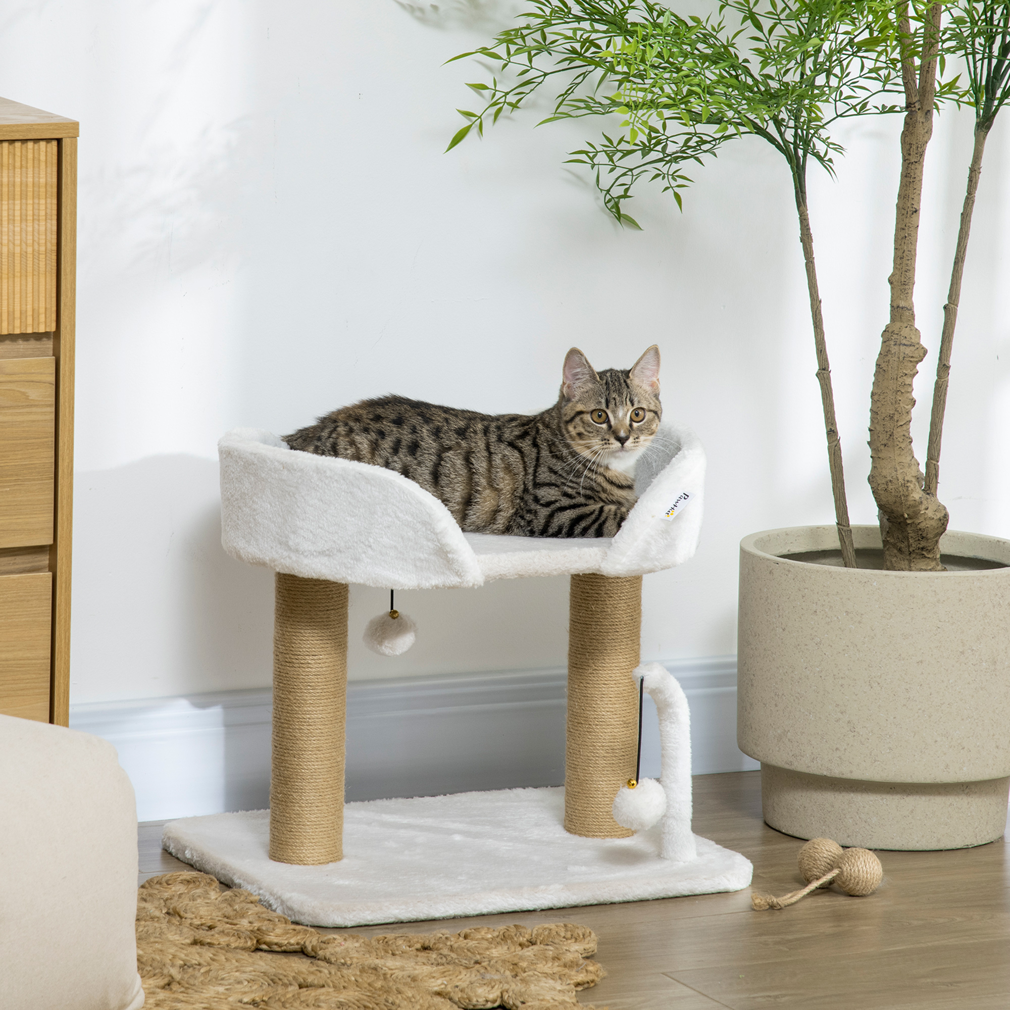 Un gato sentado en un árbol para gatos. Hay una planta y una alfombra en el fondo. El gato es atigrado.
