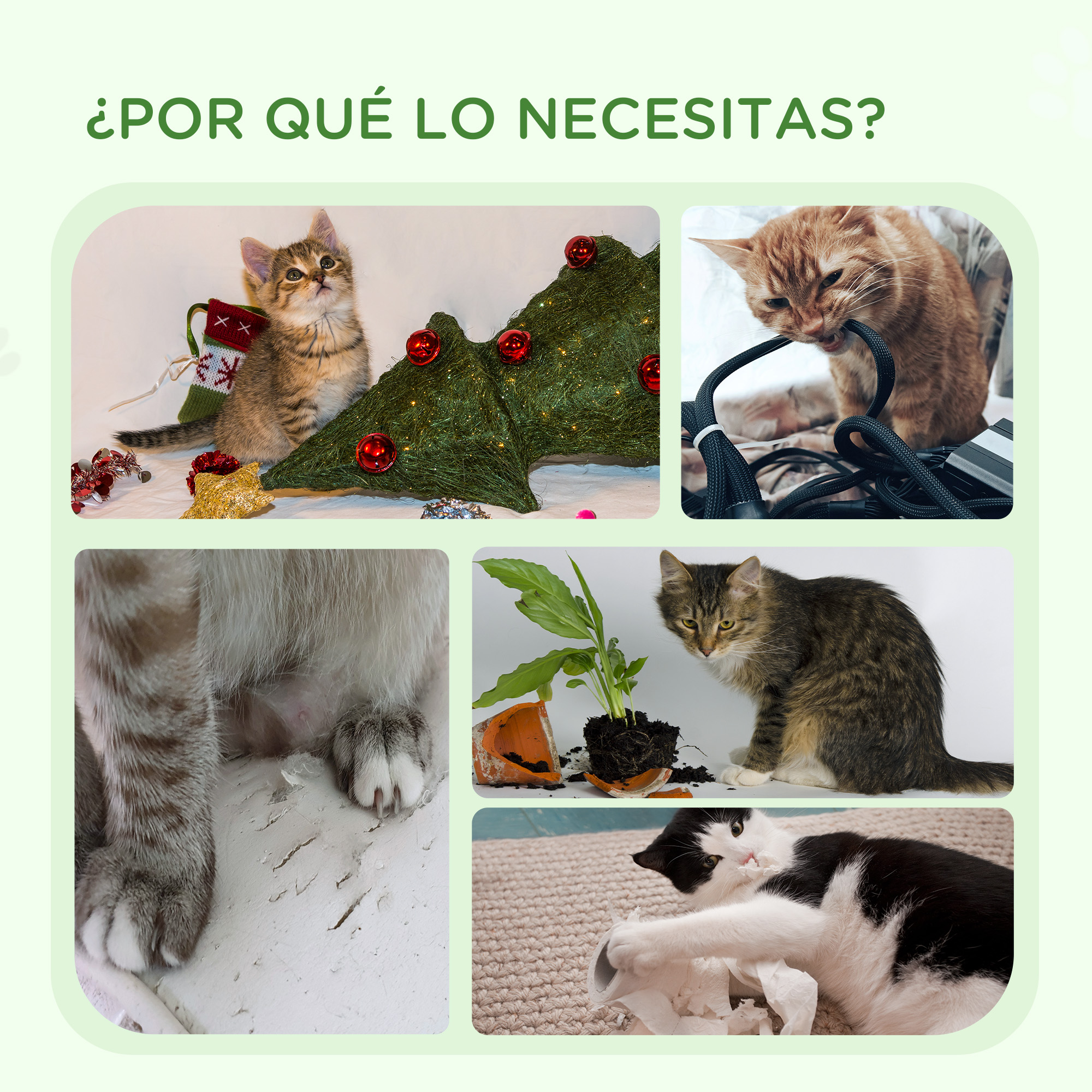 Un collage muestra gatitos con árbol de Navidad, jugando con cables, pata en maceta rota y jugando con papel.