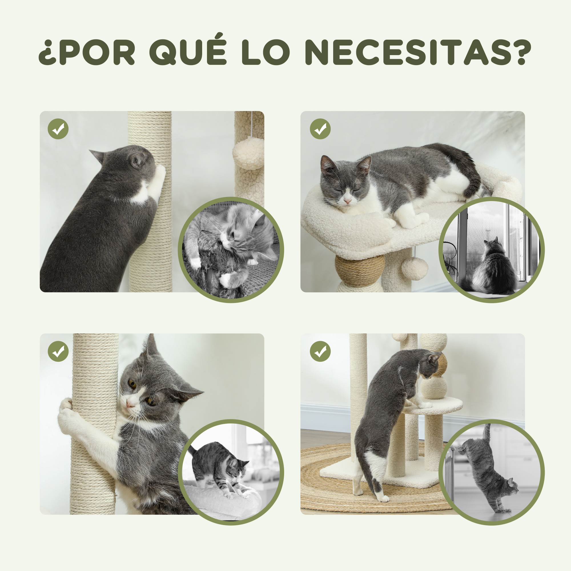Gatos usando árboles para gatos. Imágenes muestran rascando, durmiendo y jugando en los árboles.