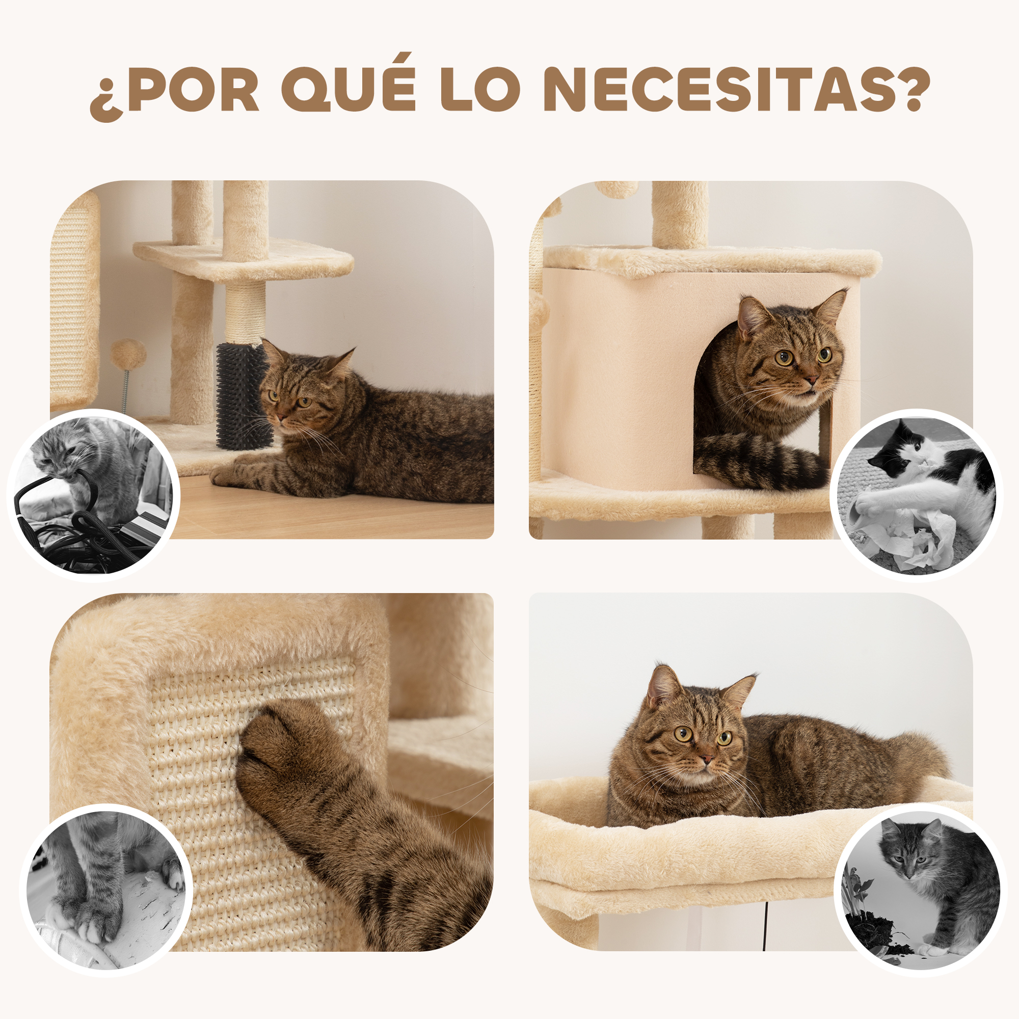 Gatos interactuando con un árbol para gatos, rascándose, descansando y jugando con la estructura.