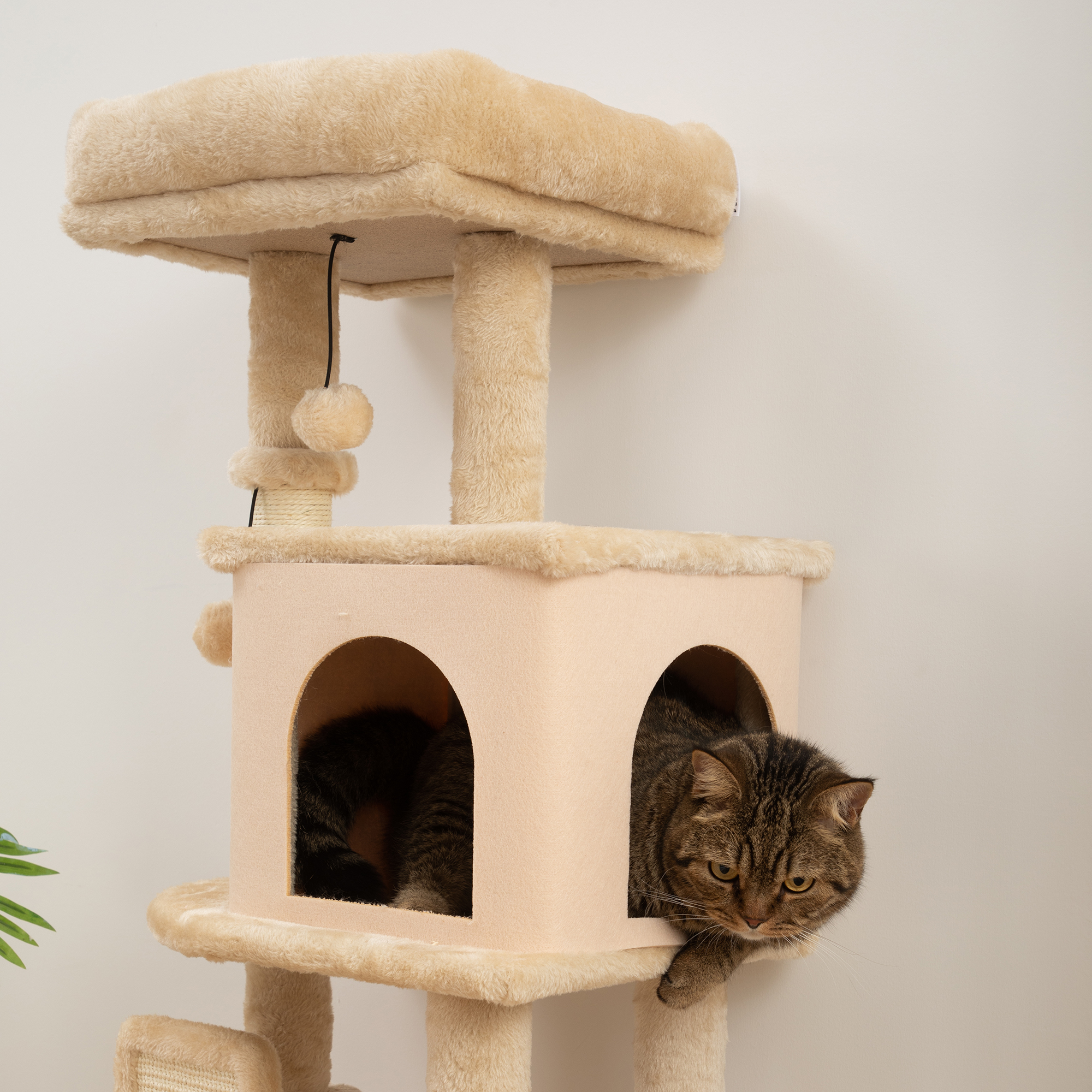 Gato en un árbol para gatos, con color beige.