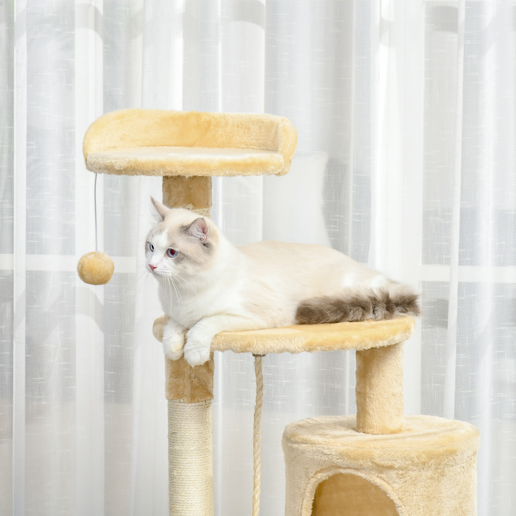 Un gato Ragdoll en un árbol para gatos beige, con una bola colgante y fondo claro.
