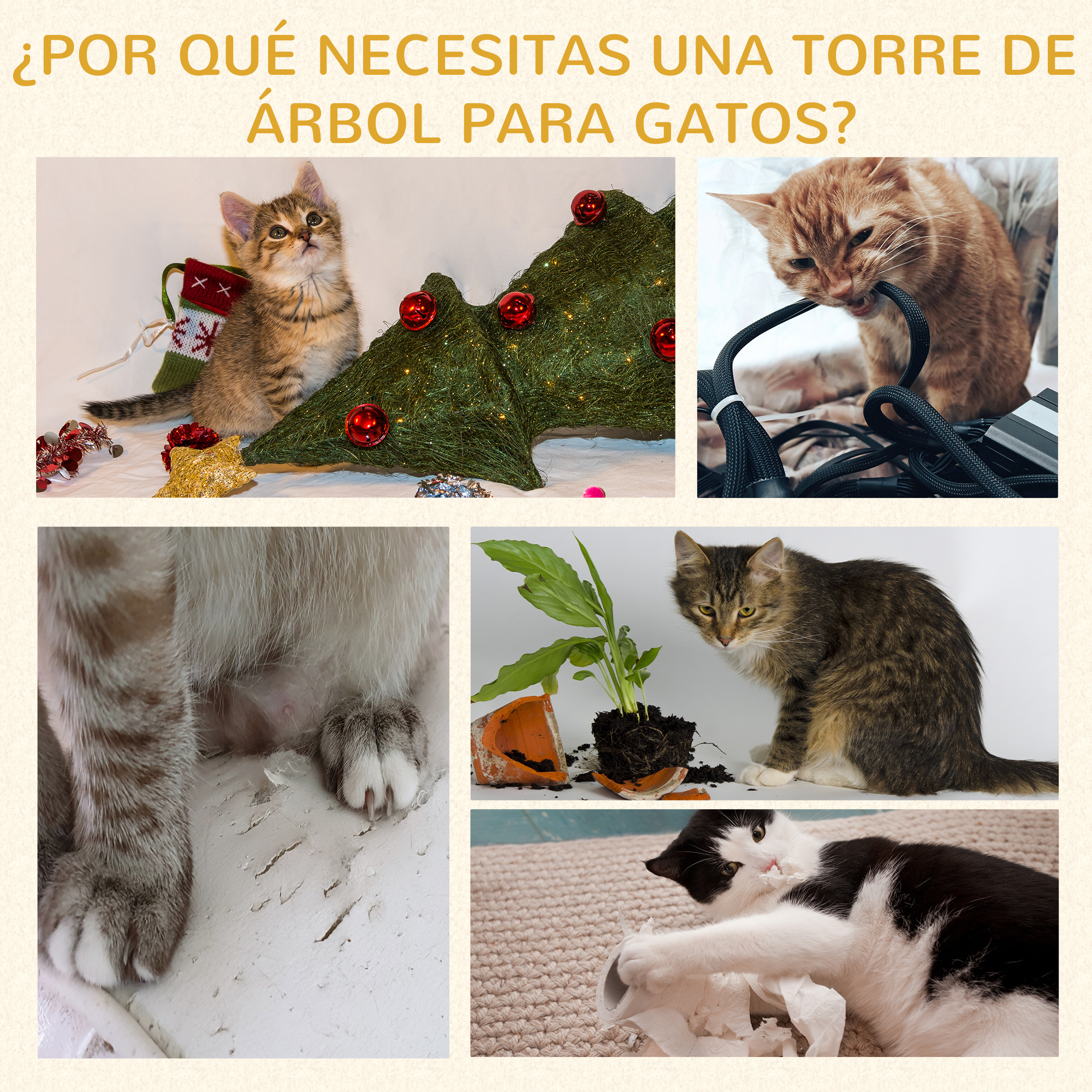 Collage: Gatos interactuando con un árbol de Navidad, cables, una maceta rota y una alfombra.