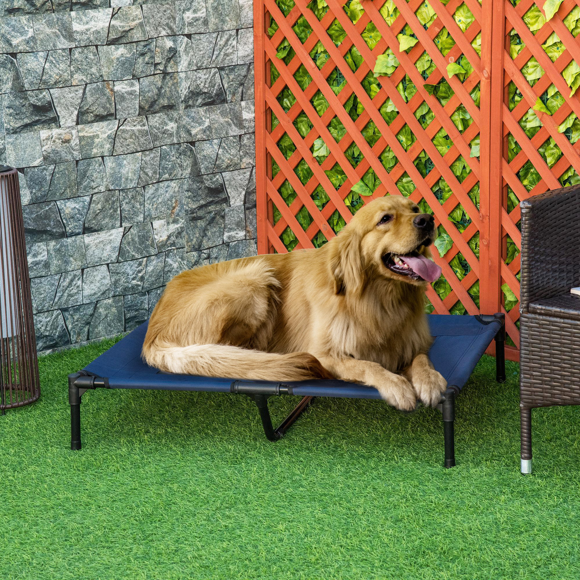 Un perro golden retriever descansa sobre una cama azul elevada sobre hierba verde, bajo una valla naranja.