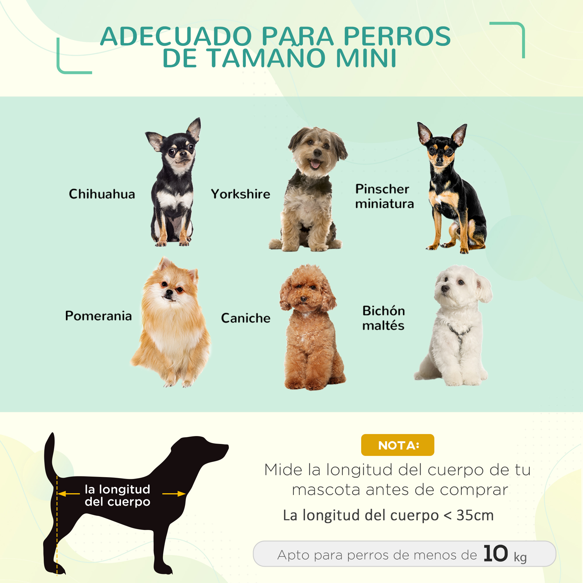 Varias razas de perros pequeños con etiquetas de texto y guía de tallas.