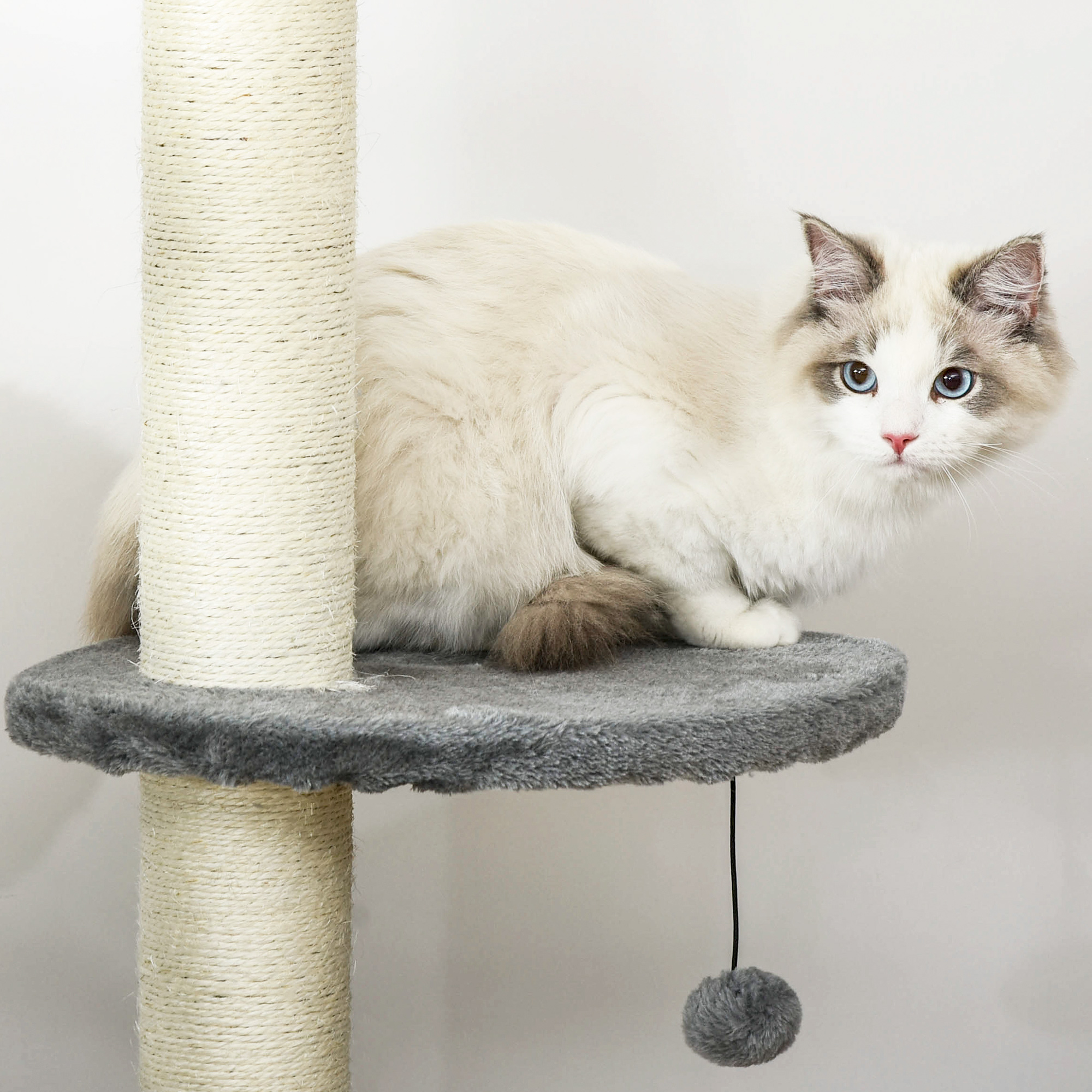Un gato se sienta en una plataforma de árbol para gatos con un juguete colgante, mirando a la cámara.
