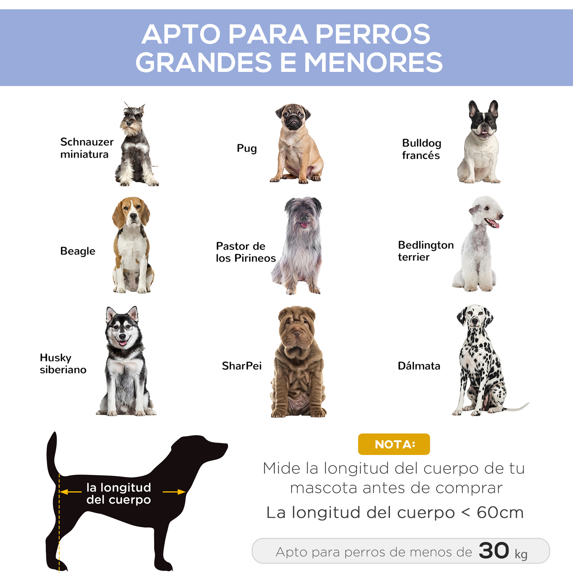 Infografía con varias razas de perros, incluyendo silueta y guía de tallas.