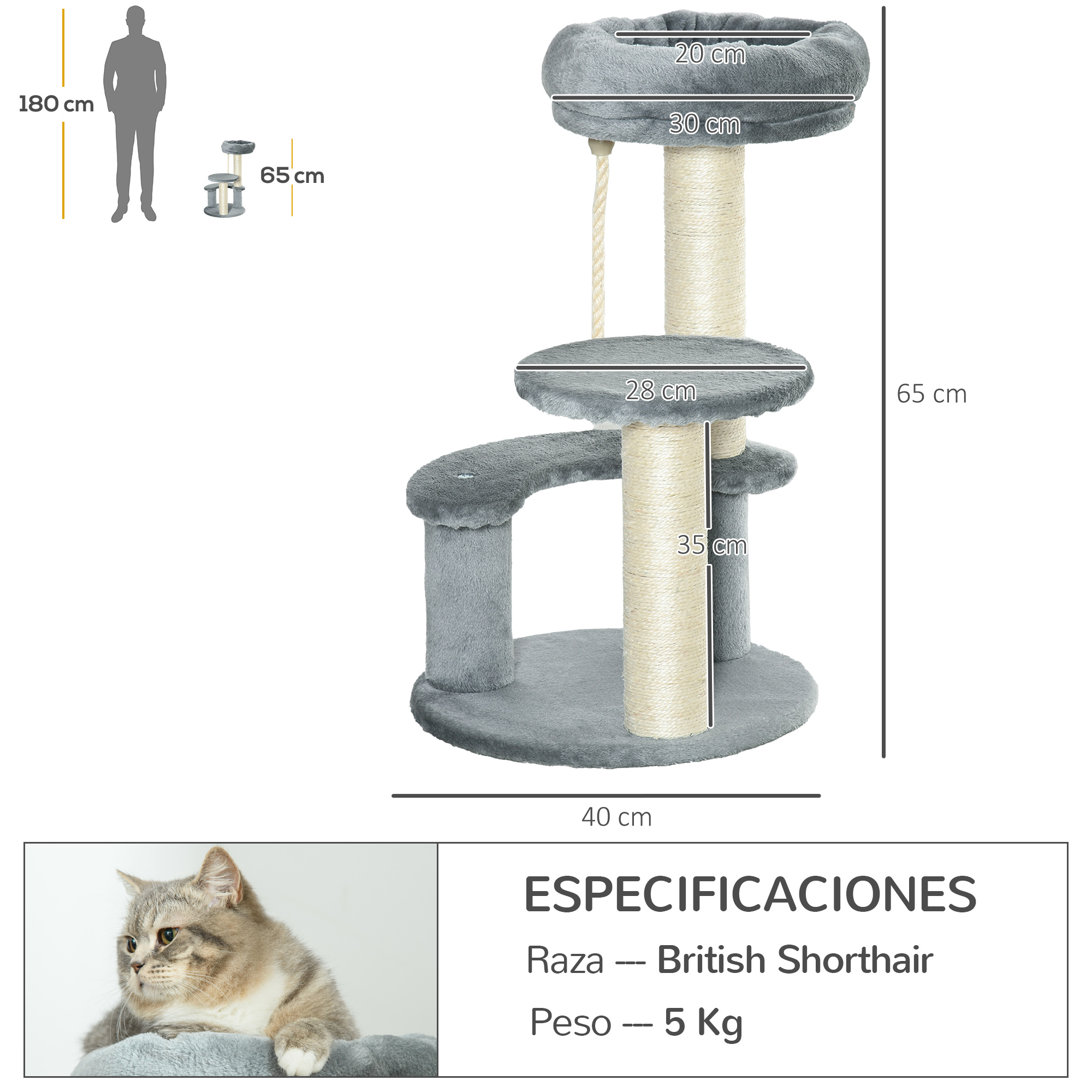 Diagrama de un árbol para gatos, con dimensiones y un gato British Shorthair descansando encima.