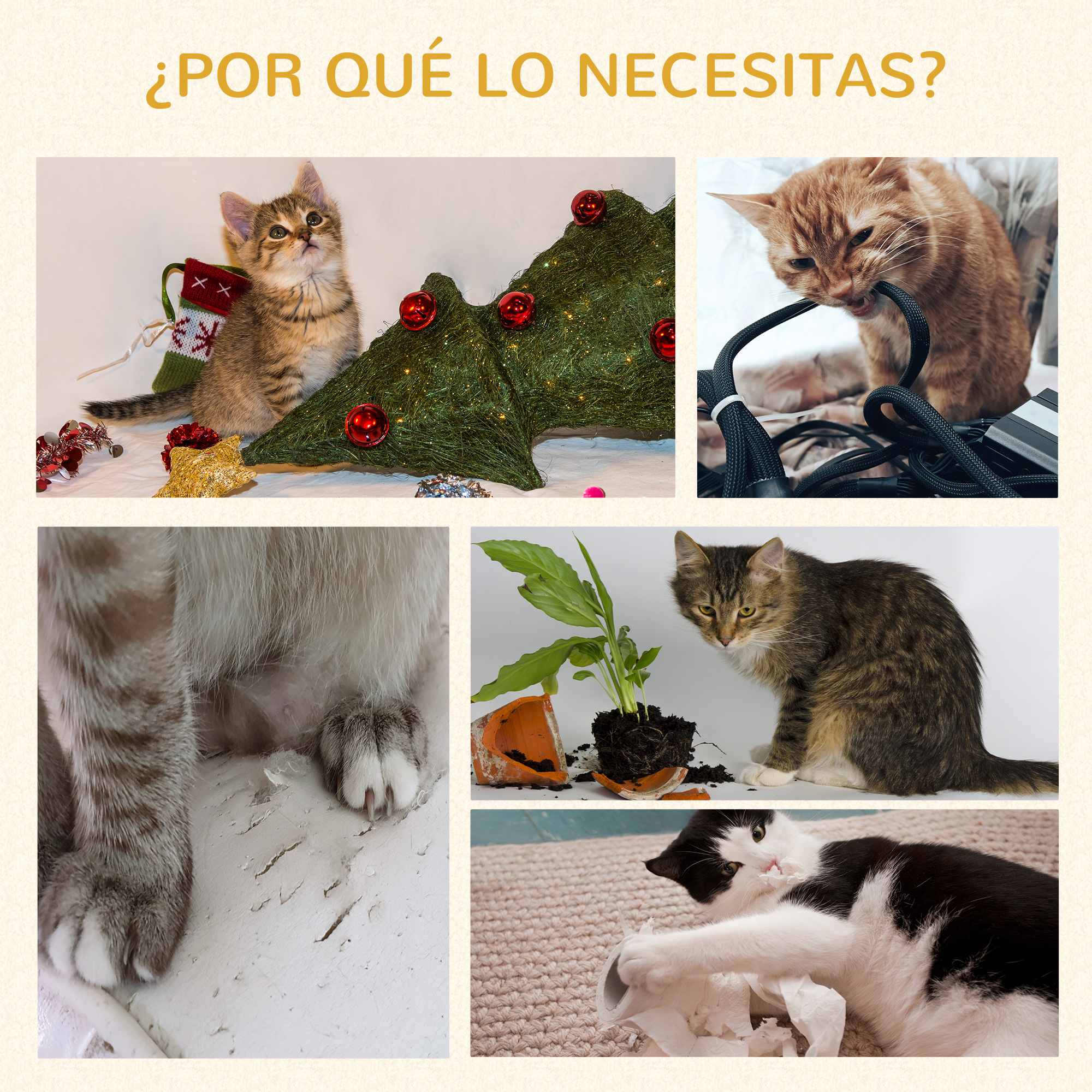 Collage de gatos. Uno juega con un árbol, otro mastica un cable, garras arañan, otro con maceta rota, uno en papel.