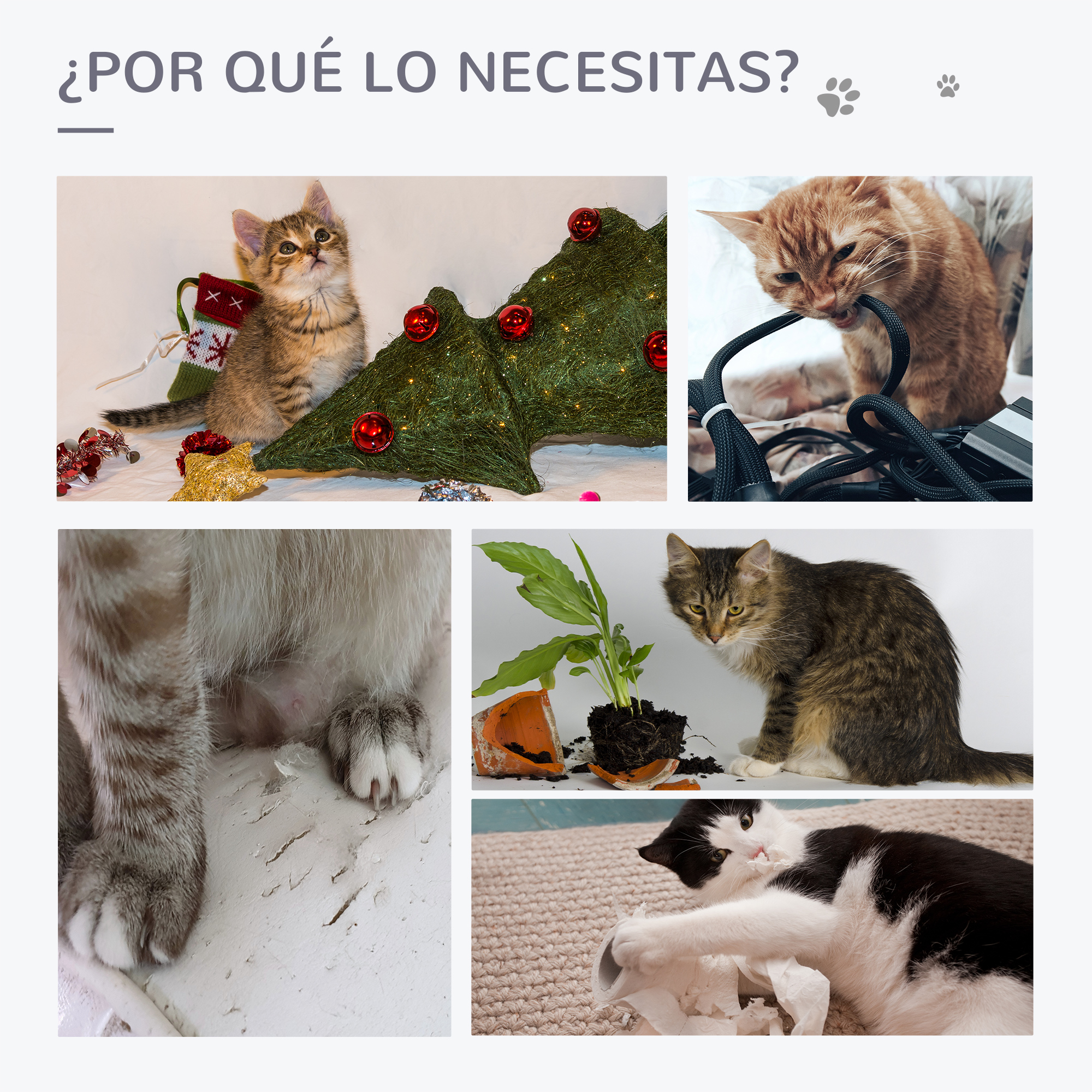 Un collage de fotos que muestra por qué los gatos necesitan rascadores y árboles, y su destrucción.