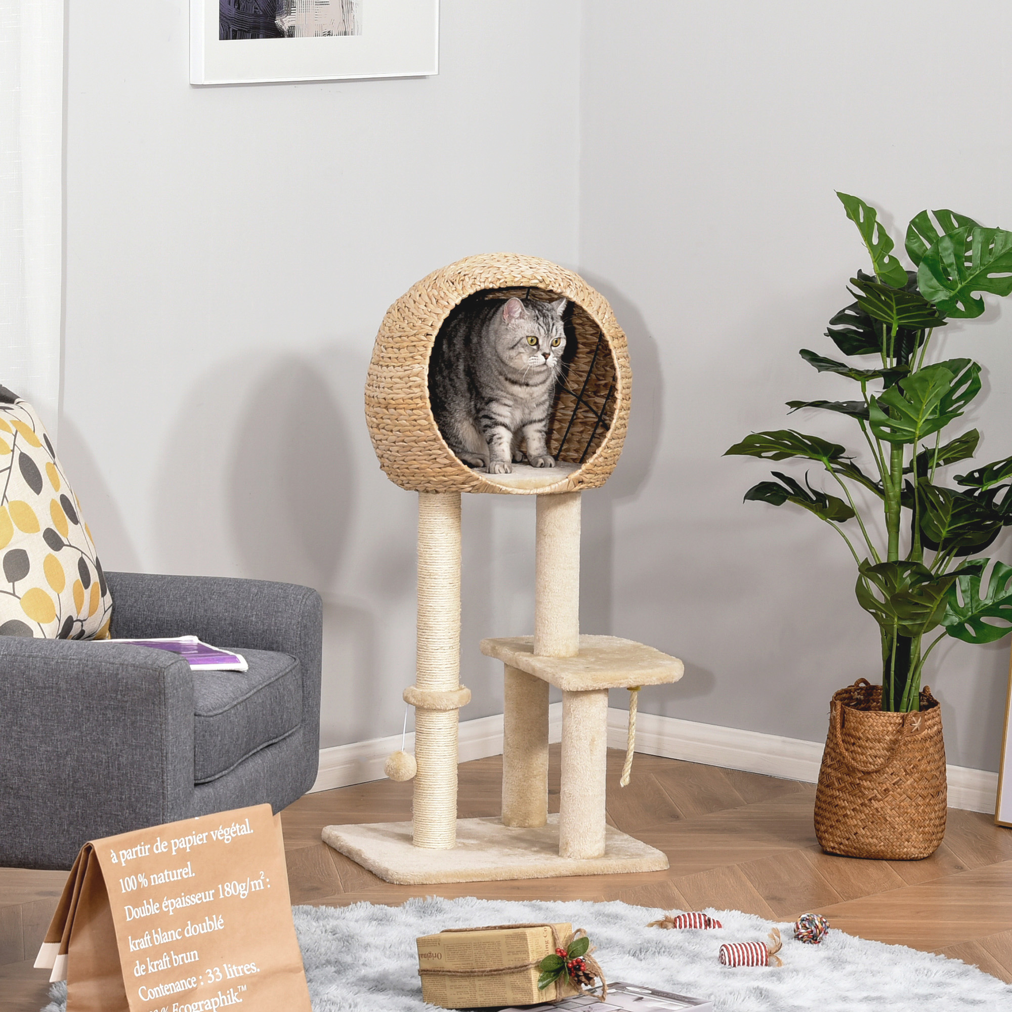 Katzenbaum mit Katze in rundem Bett. Katze, Bett, Plattformen und Kratzpfosten.
