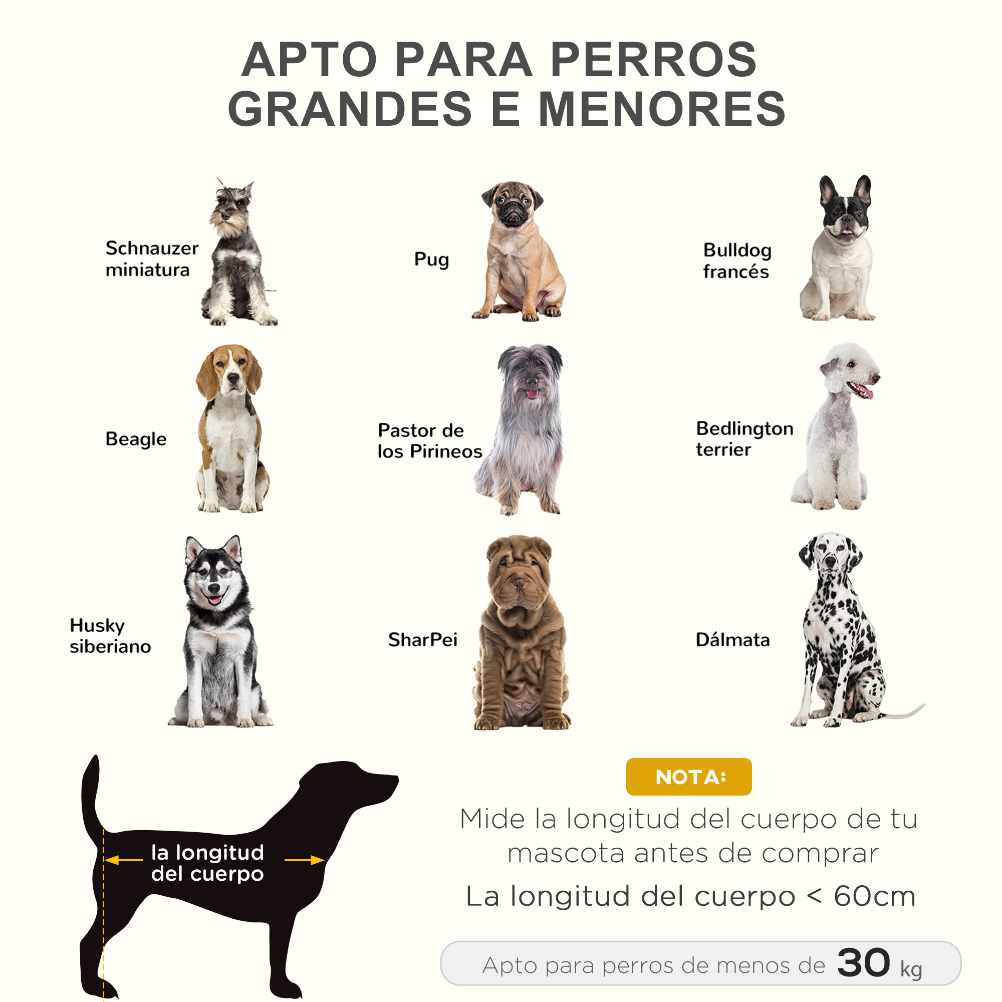 Varias razas de perros con nombres, incluyendo Schnauzer miniatura, Pug, Bulldog, Beagle y otros.