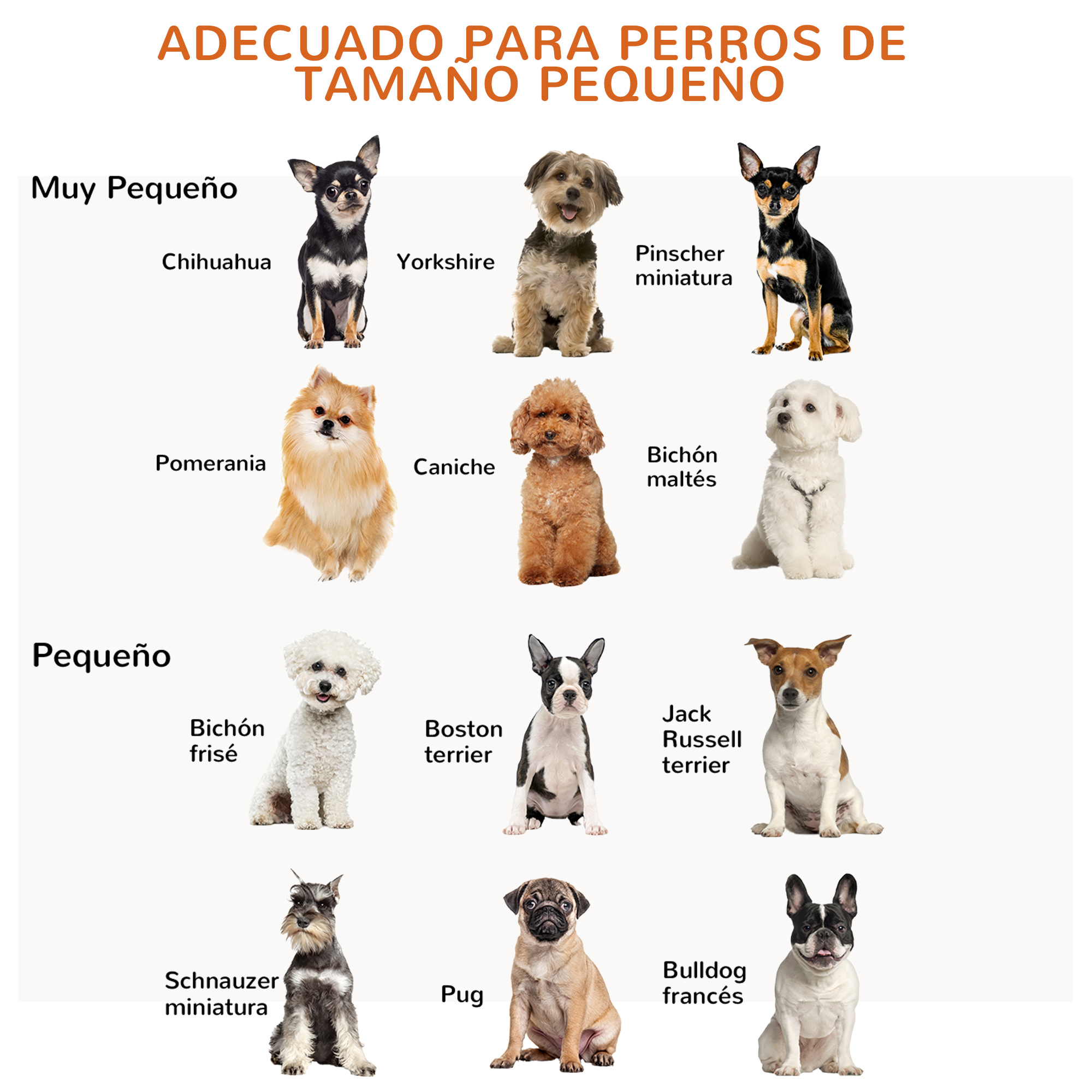 Imagen muestra varias razas de perros pequeños, incluyendo Chihuahua, Yorkshire y Pug, con etiquetas.