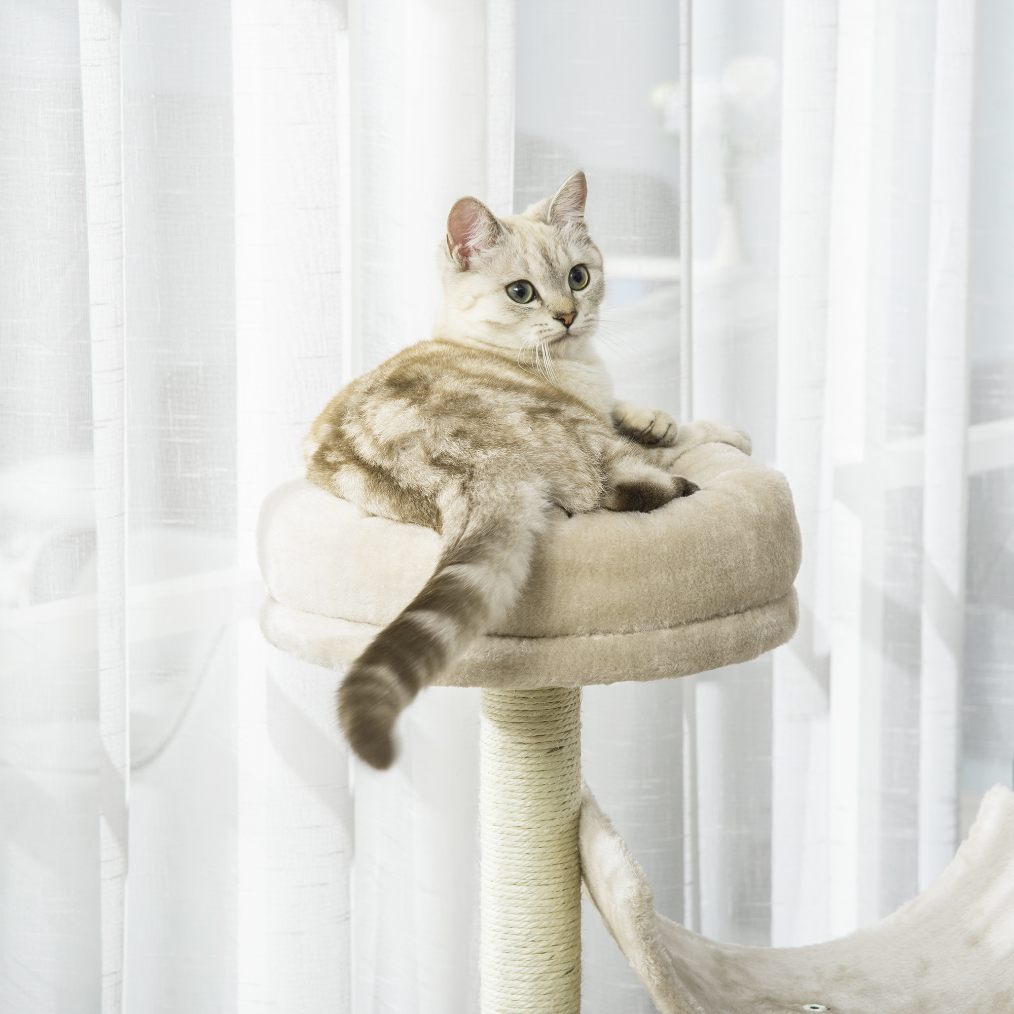 Un gato en un árbol para gatos, color beige, con un poste envuelto en cuerda y una ventana de fondo.