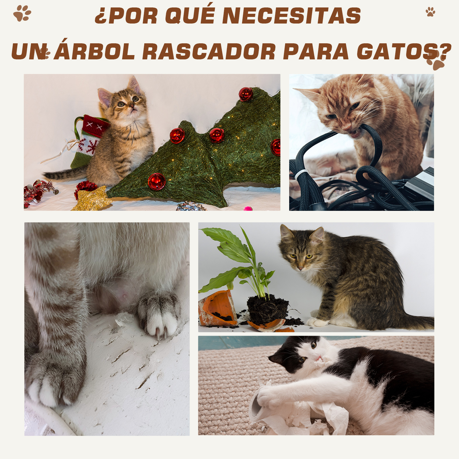 Collage de gatos interactuando con artículos del hogar. Incluye un árbol, cables y una planta.