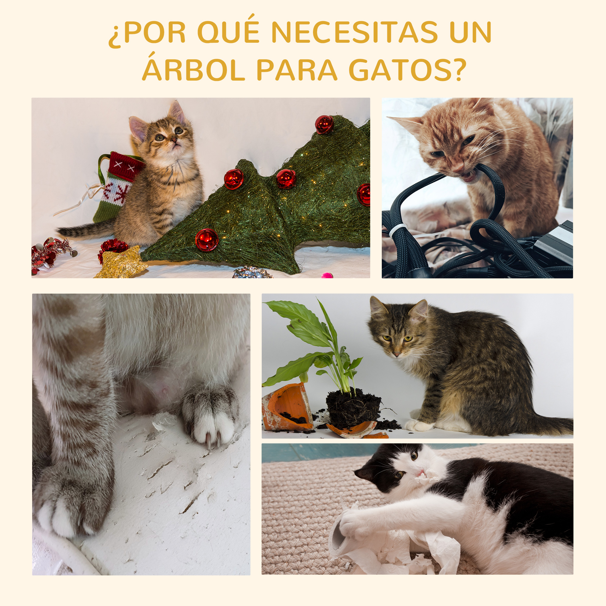 Un collage de imágenes relacionadas con gatos. Incluye gatitos con un árbol de Navidad y gatos jugando.