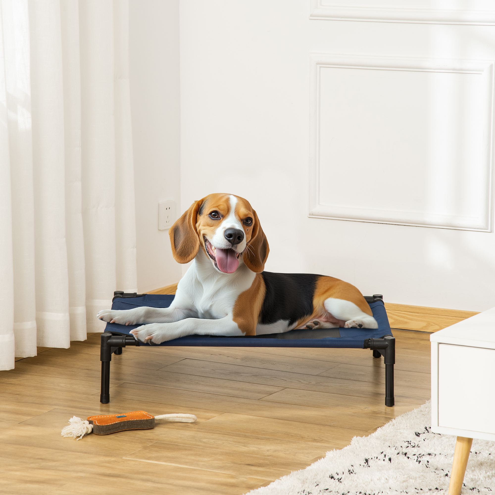 Un perro beagle tumbado en una cama azul para mascotas. El perro es marrón, negro y blanco.