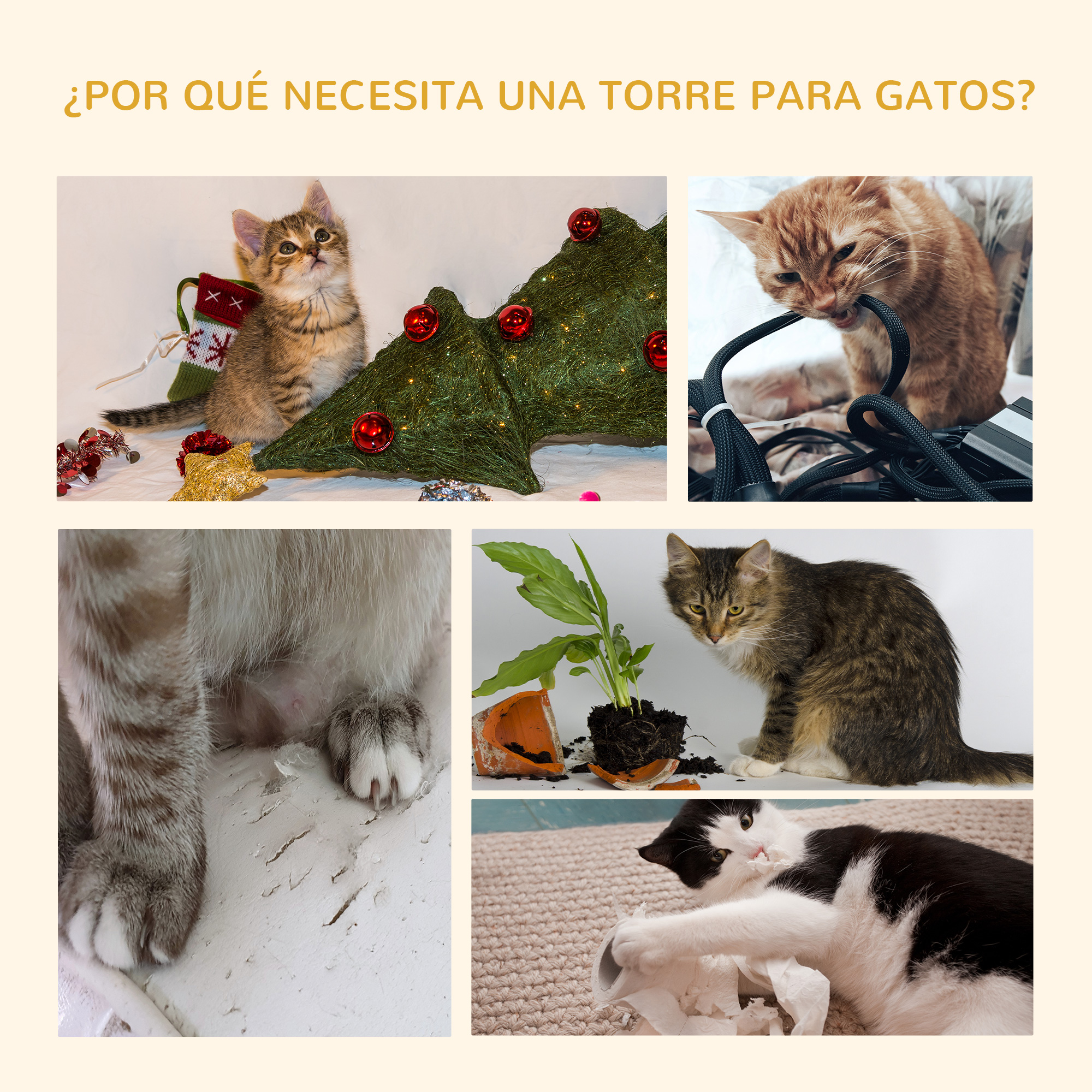 Cinco imágenes muestran a gatos dañando objetos para ilustrar por qué se necesita un árbol para gatos.