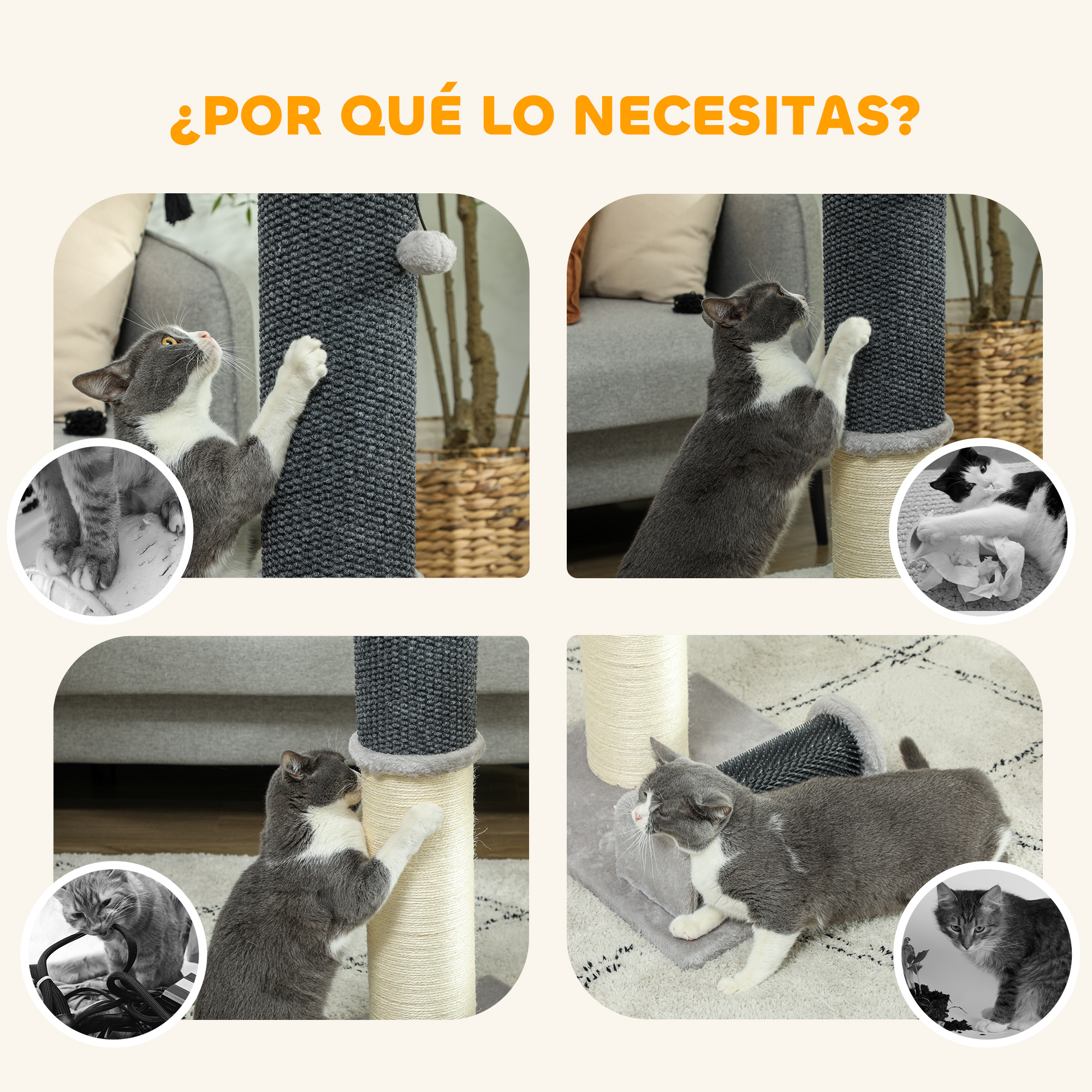 Un collage muestra gatos usando un rascador. Se les ve rascando e interactuando con el poste.