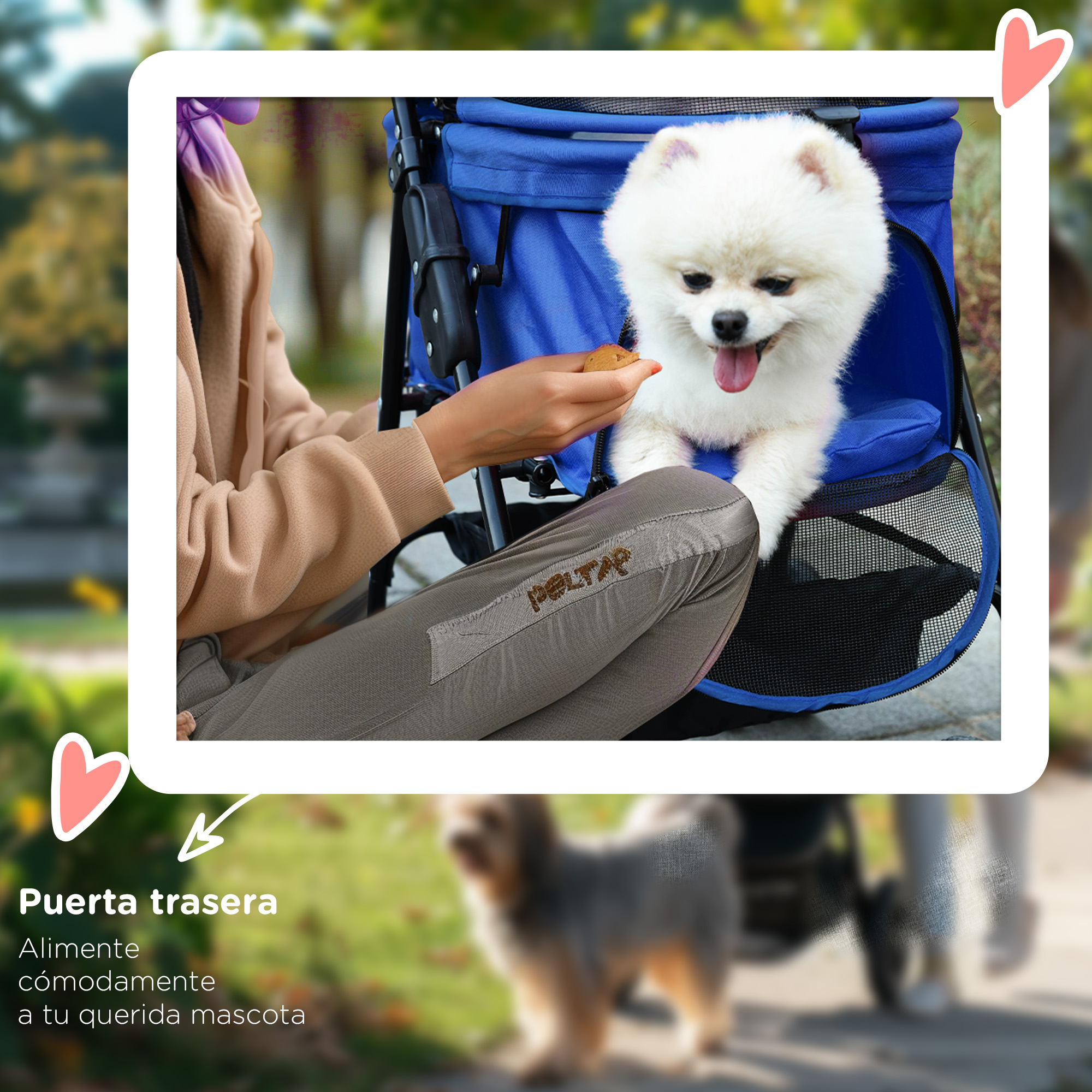 Una persona alimentando a un perro blanco en un cochecito azul para mascotas.