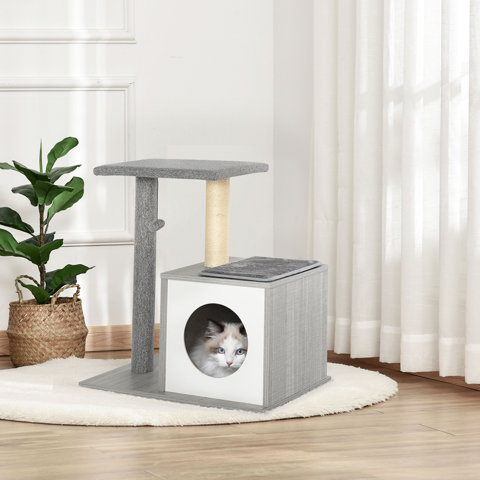 Árbol para gatos con gato en cubo, plataforma y poste rascador. Una planta y una alfombra en el fondo.