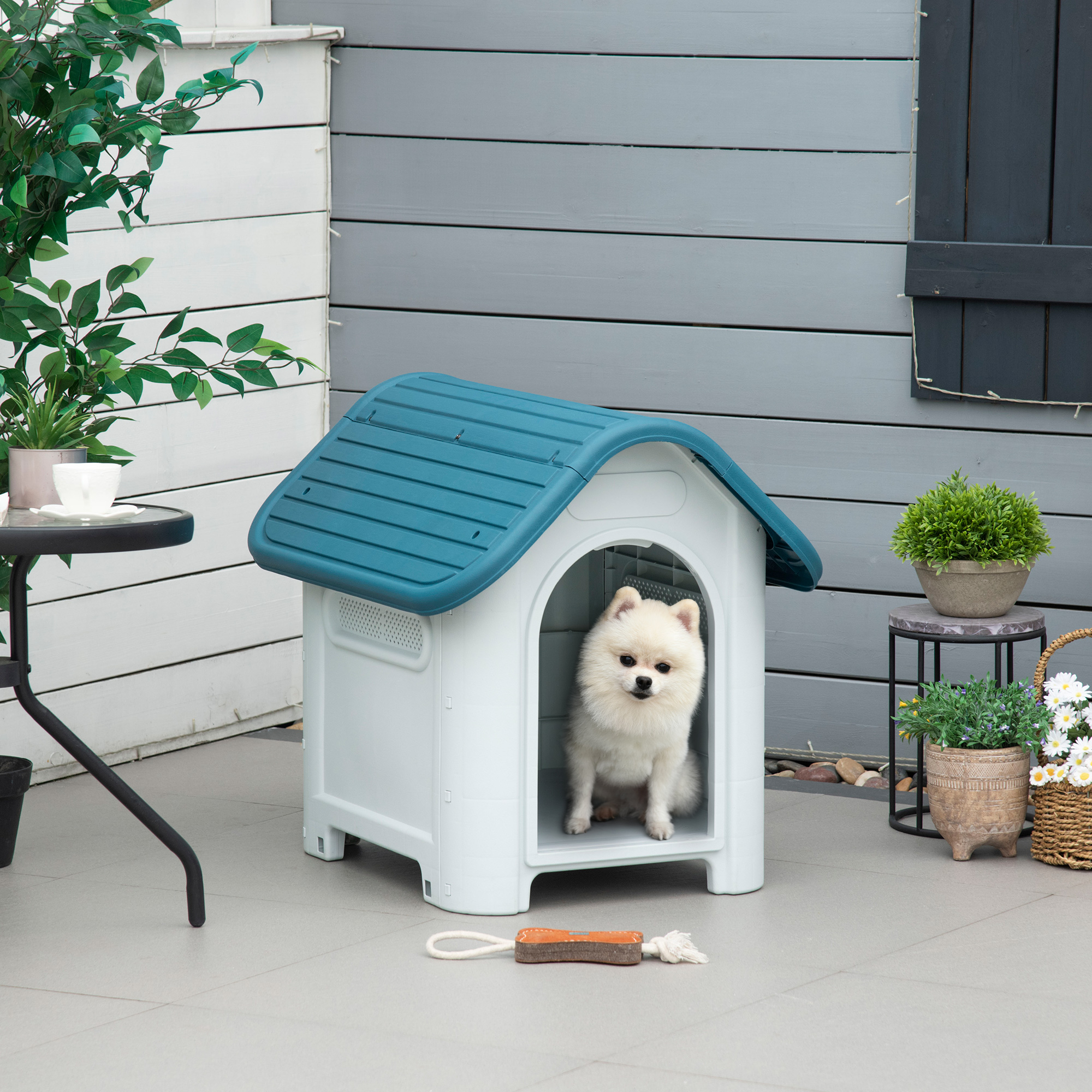 Una caseta para perros blanca con techo azul, un perro blanco dentro y un juguete. Entorno exterior.