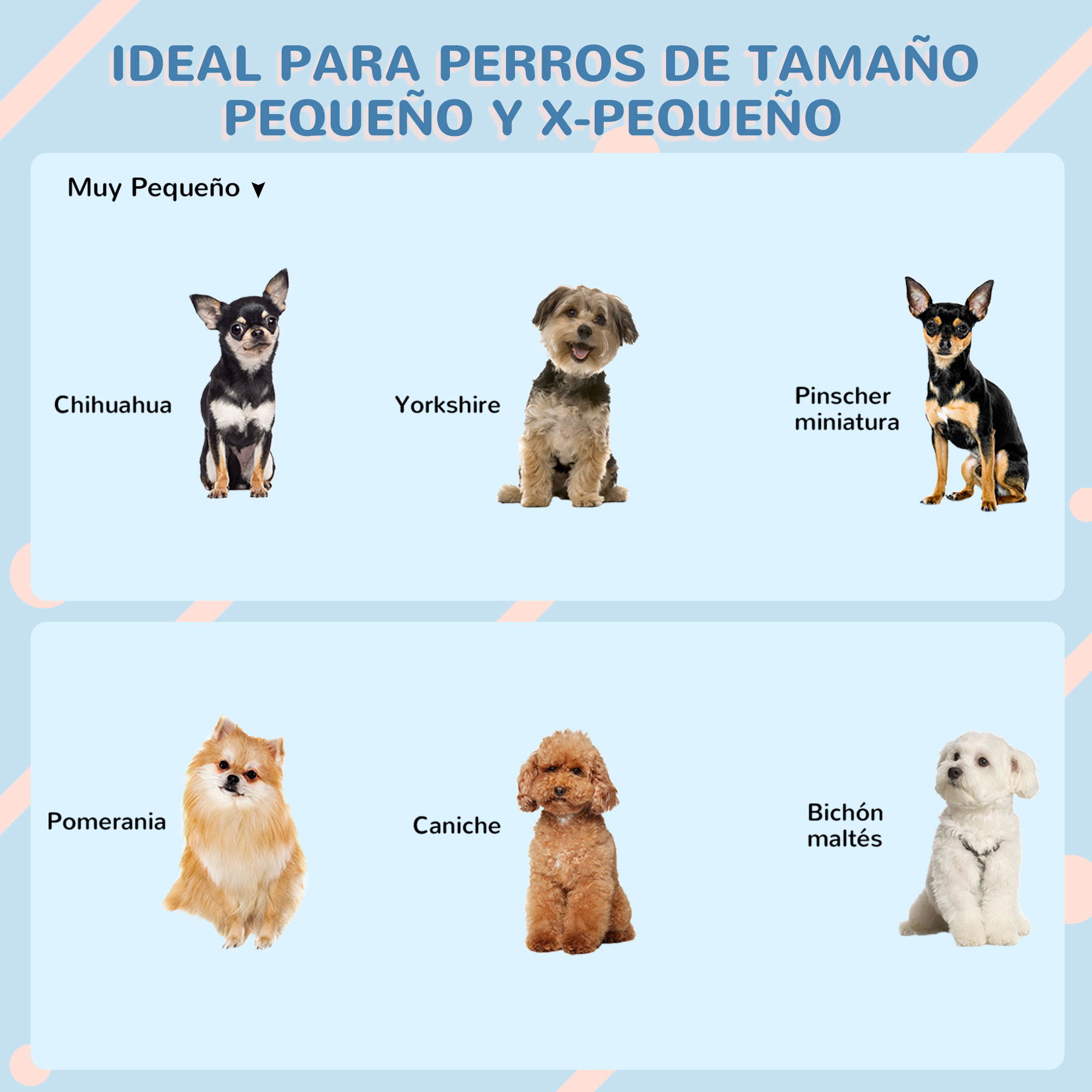 Un diagrama que muestra seis perros pequeños de diferentes razas. Ideal para perros pequeños y X-pequeños.