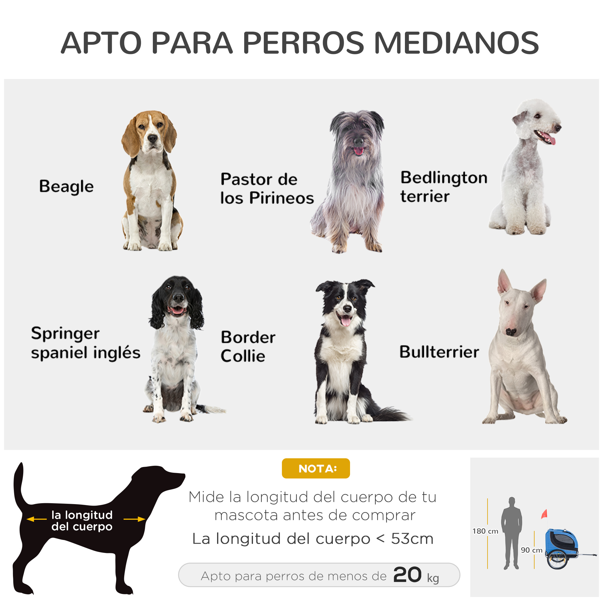 Imagen que muestra diferentes razas de perros: Beagle, Pastor de los Pirineos, Bedlington terrier, Springer Spaniel, Border Collie, Bullterrier.