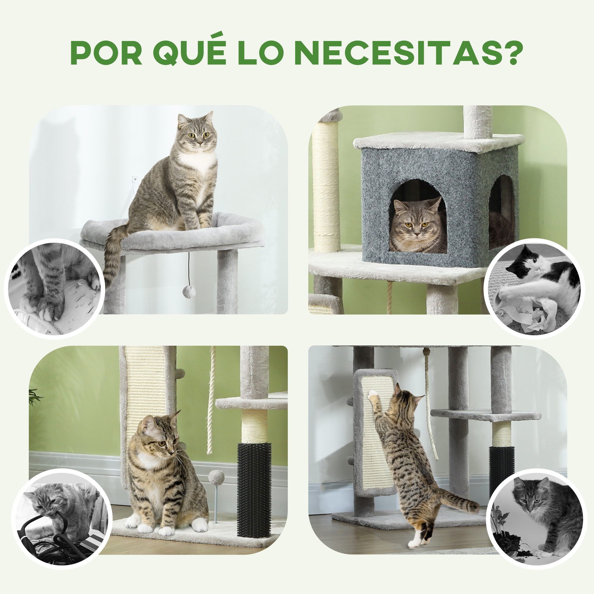 Gatos interactuando con árboles para gatos, en varios escenarios, con primeros planos de patas y escalada.