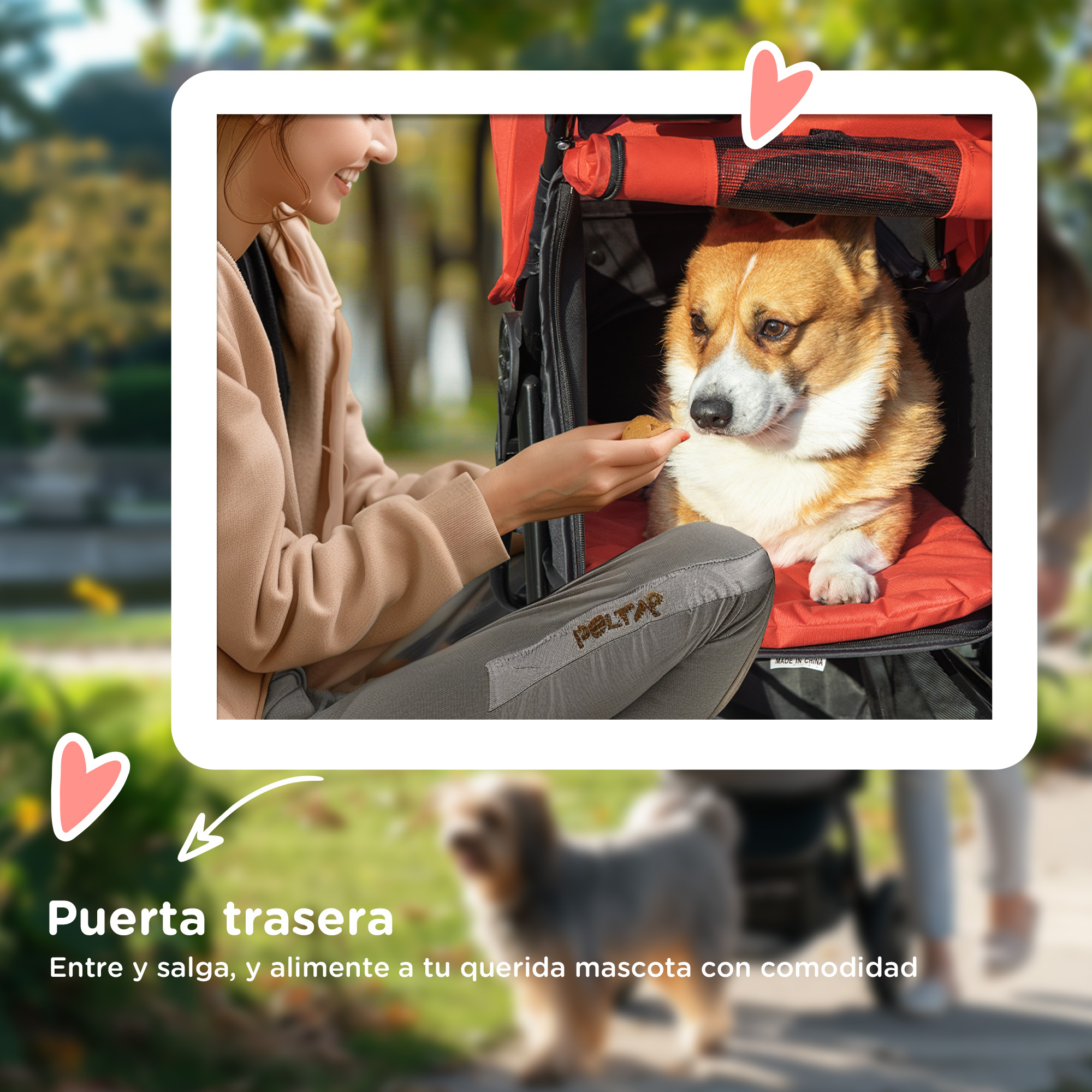 Persona alimentando a un perro en un cochecito. Perro marrón. Interior del cochecito rojo. Al aire libre, día soleado.