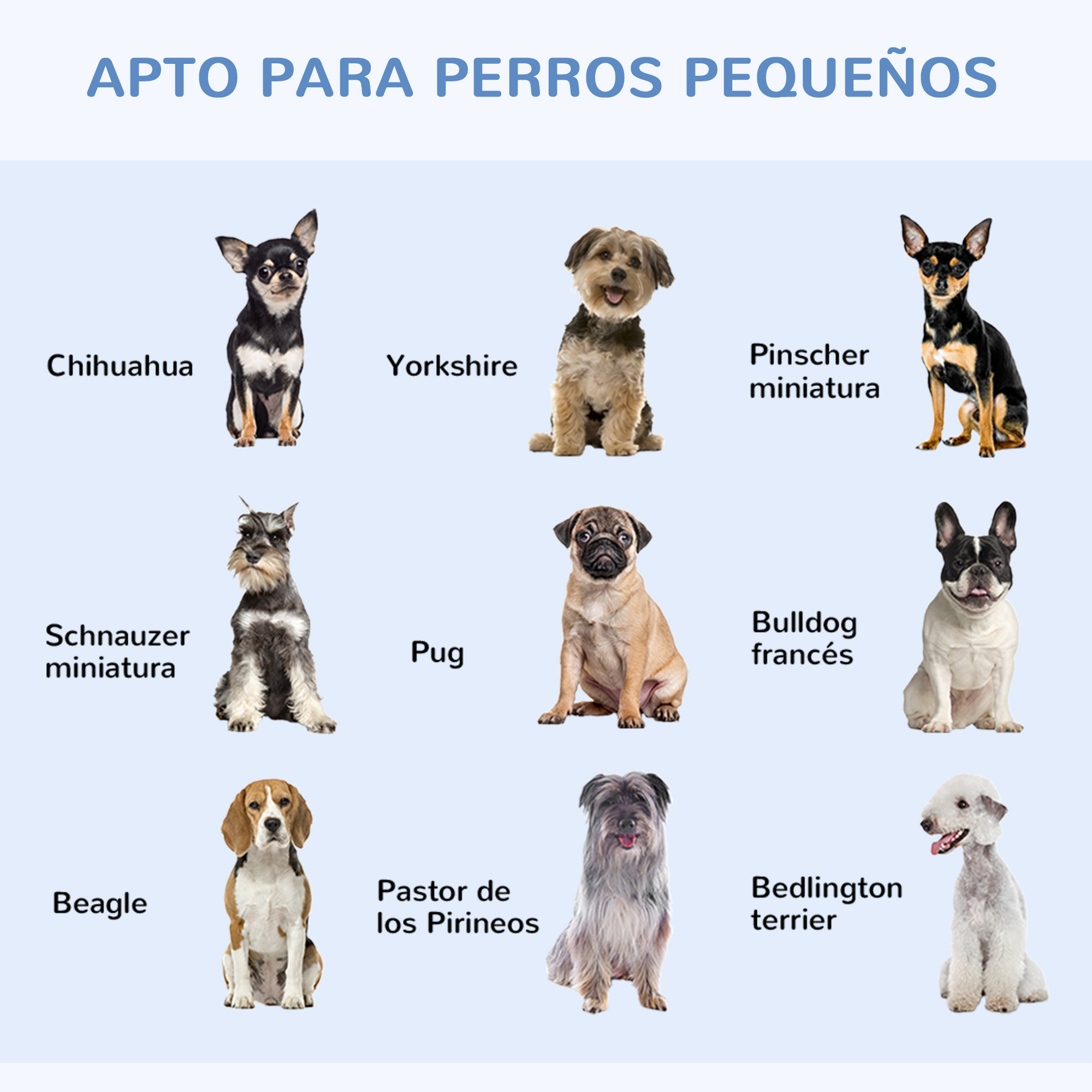 Perros: Chihuahua, Yorkshire, Schnauzer miniatura, Pug, Beagle, Bulldog francés, Bedlington terrier, etc.