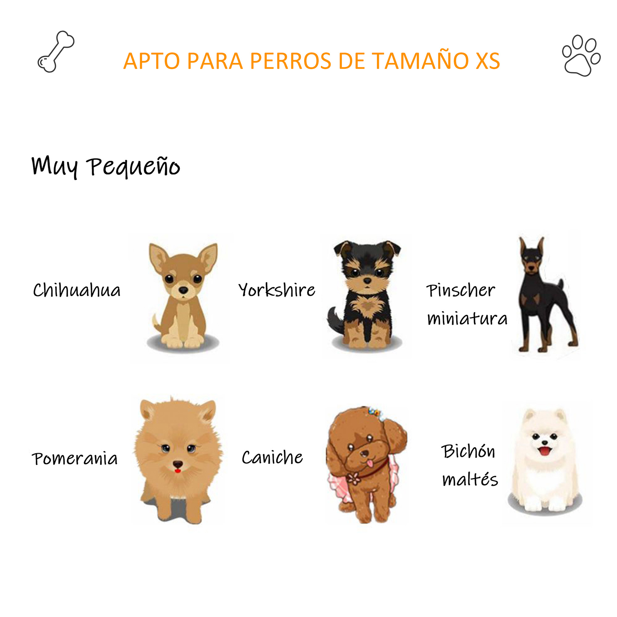Ilustraciones de razas de perros pequeños. Incluye Chihuahua, Yorkshire, Pomerania, Pinscher y otros.