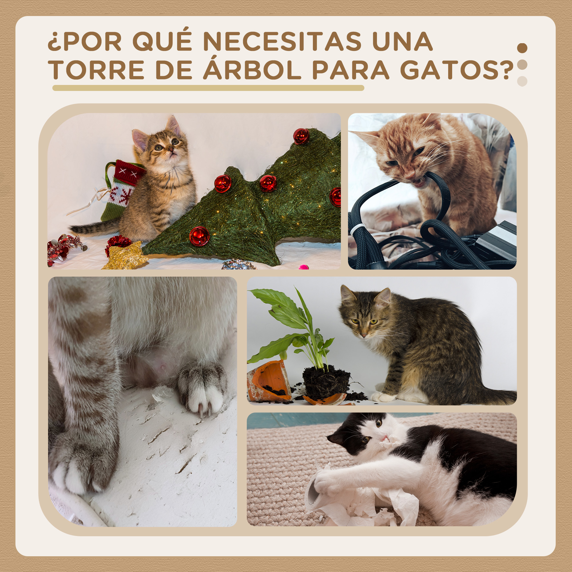 Gatos interactuando con rascadores. Gatos jugando, arañando y durmiendo en muebles y árboles.
