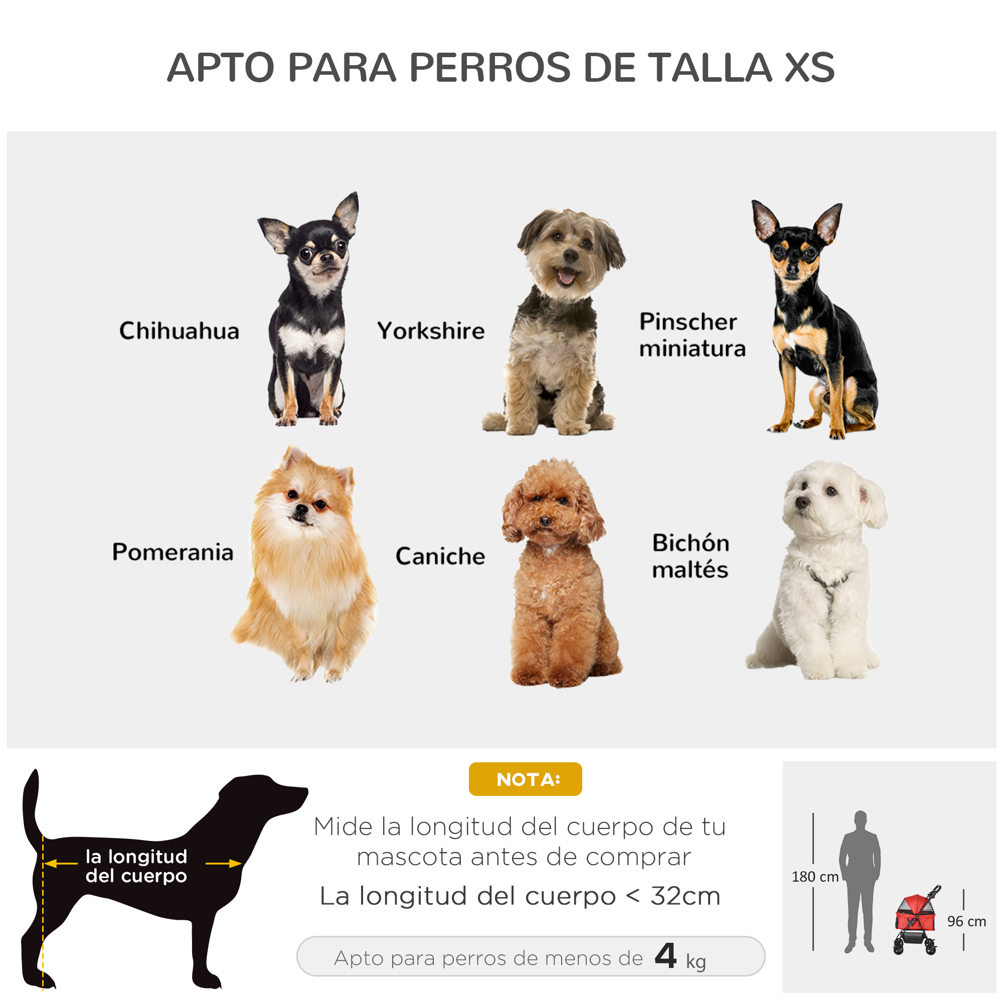 La imagen muestra seis razas de perros pequeños con texto: Chihuahua, Yorkshire, Pinscher, Pomerania, Caniche, Bichón maltés.