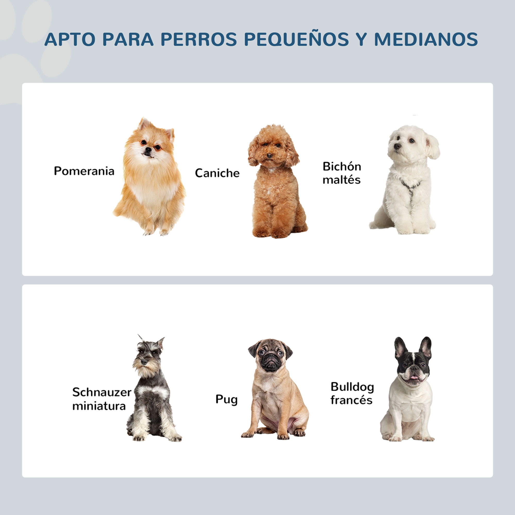 Seis razas de perros diferentes. Razas incluyen Pomerania, Caniche, Bichón maltés, Schnauzer, Pug y Bulldog.