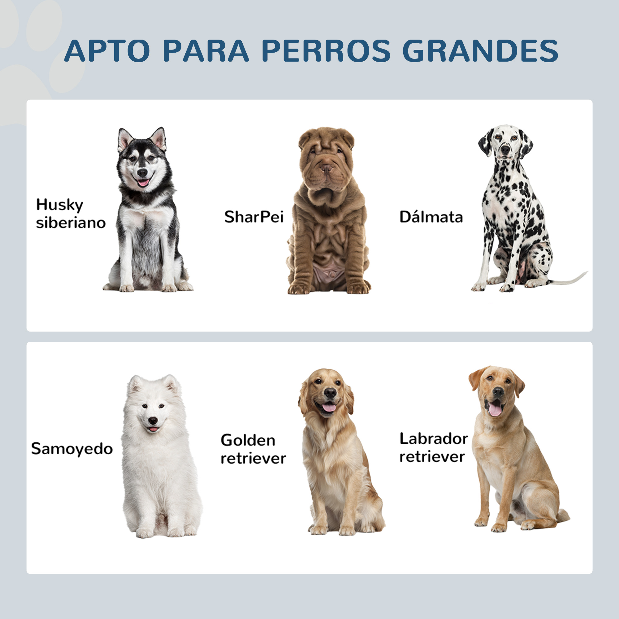 Perros. Husky siberiano, Shar Pei, Dálmata, Samoyedo, Golden Retriever y Labrador Retriever.