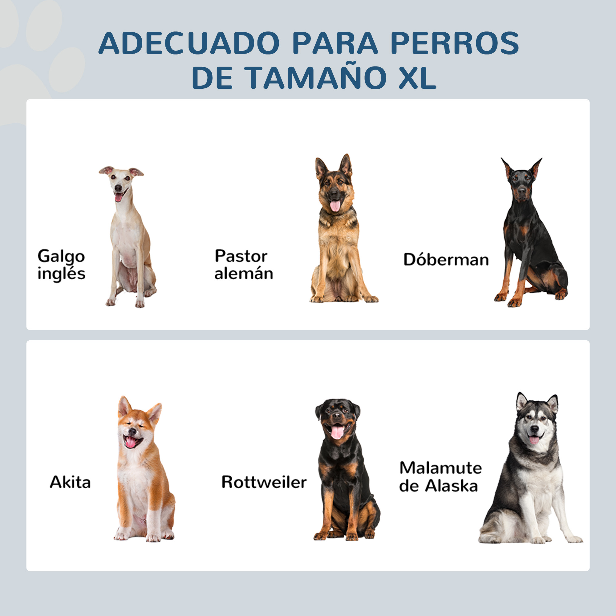 Imagen con texto en español, mostrando razas de perros XL: Galgo inglés, Pastor alemán, Dóberman, Akita, Rottweiler y Malamute de Alaska.