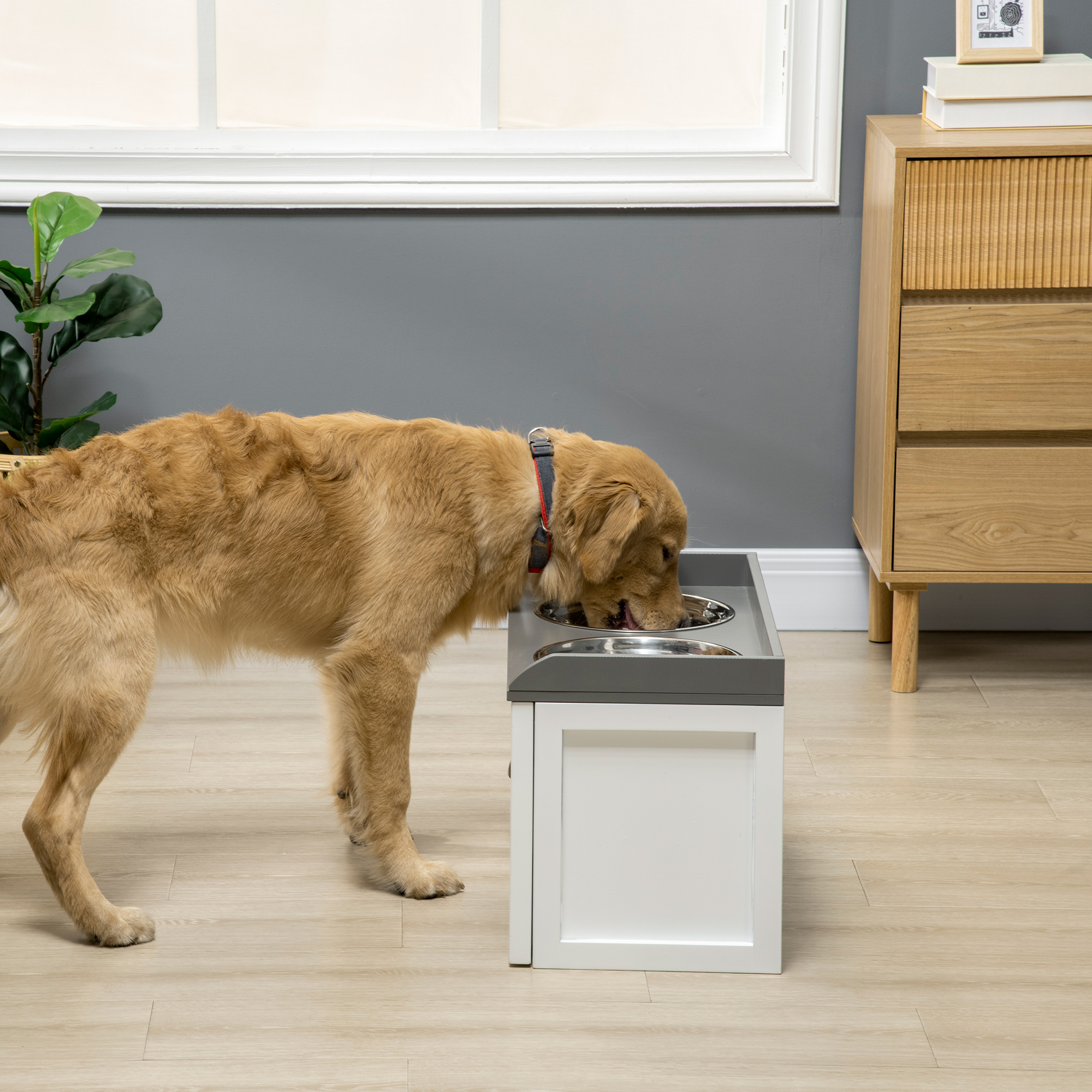 Ein Golden Retriever trinkt aus einem erhöhten Doppelnapf-Hundefutterspender.