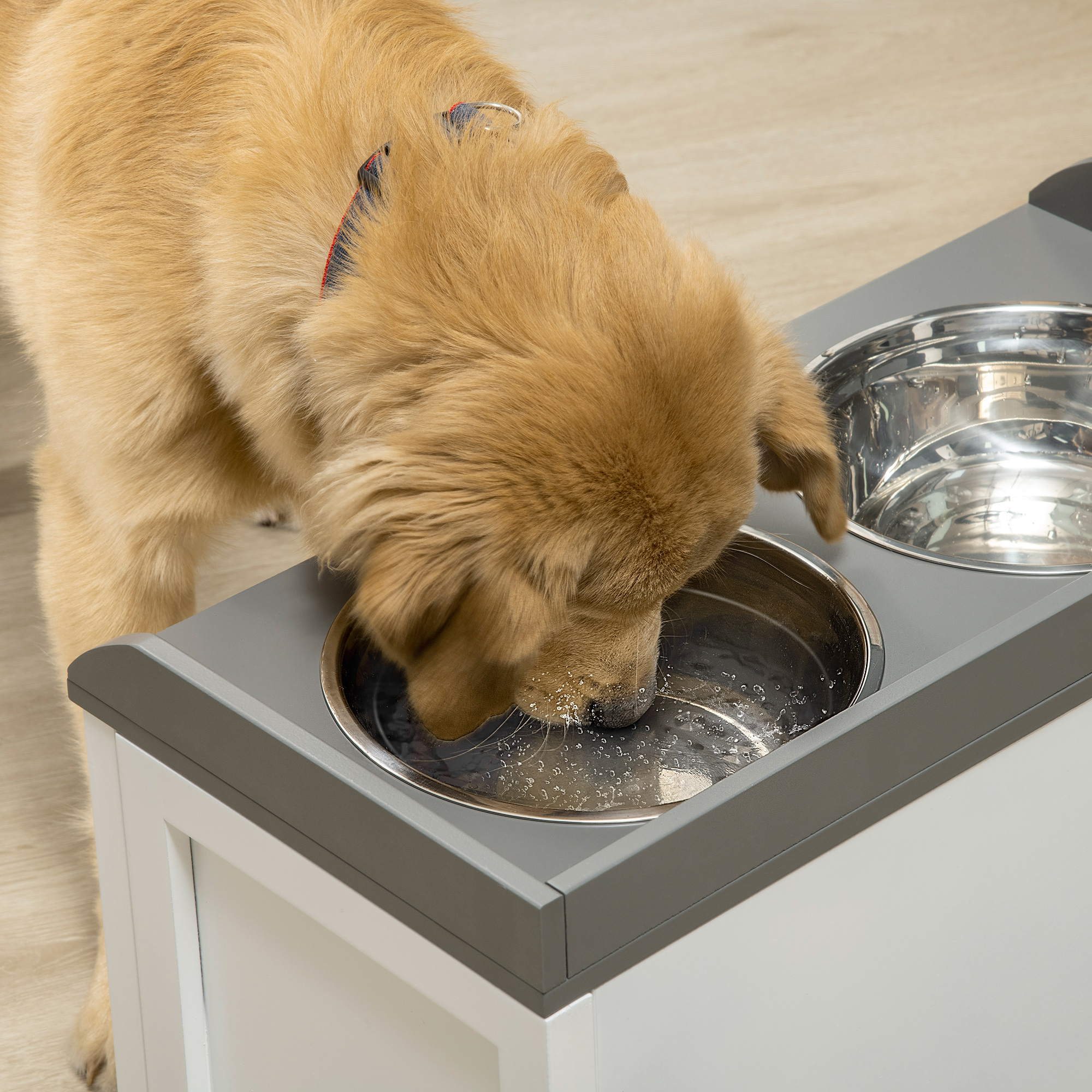 Un golden retriever bebe agua de un cuenco de acero inoxidable en un comedero elevado gris.