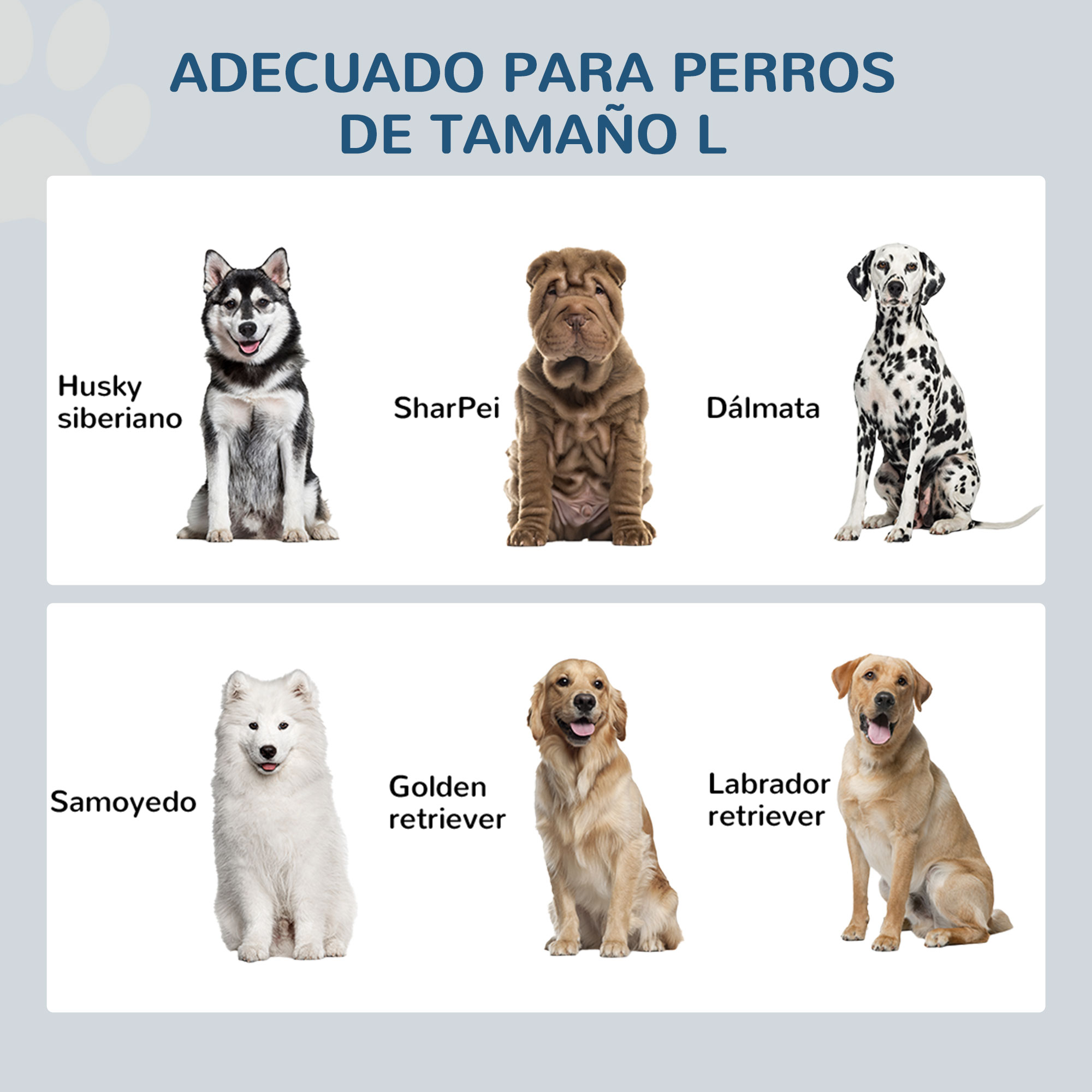 Seis razas de perros: Husky, Shar Pei, Dálmata, Samoyedo, Golden Retriever y Labrador Retriever.