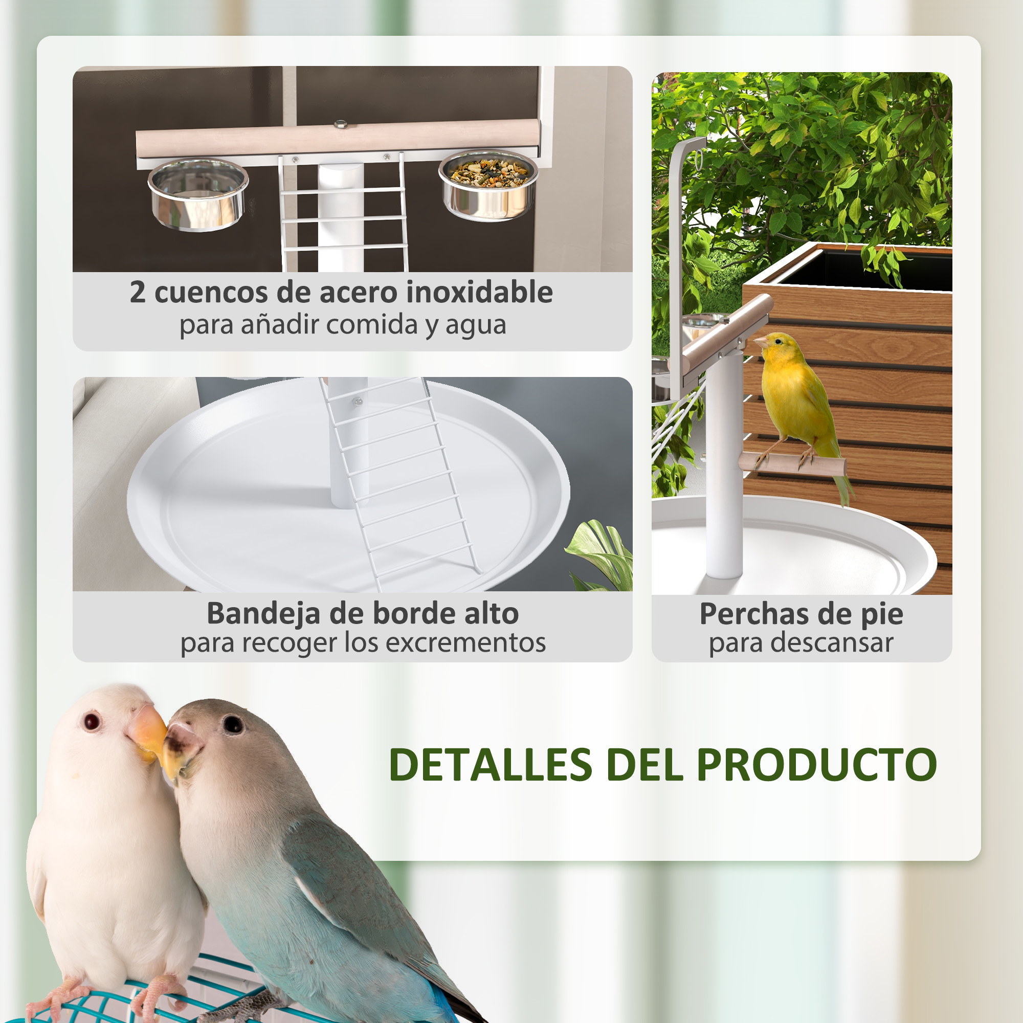 Detalles del producto: cuencos de acero inoxidable, una bandeja de borde alto y perchas, con dos agapornis en primer plano.