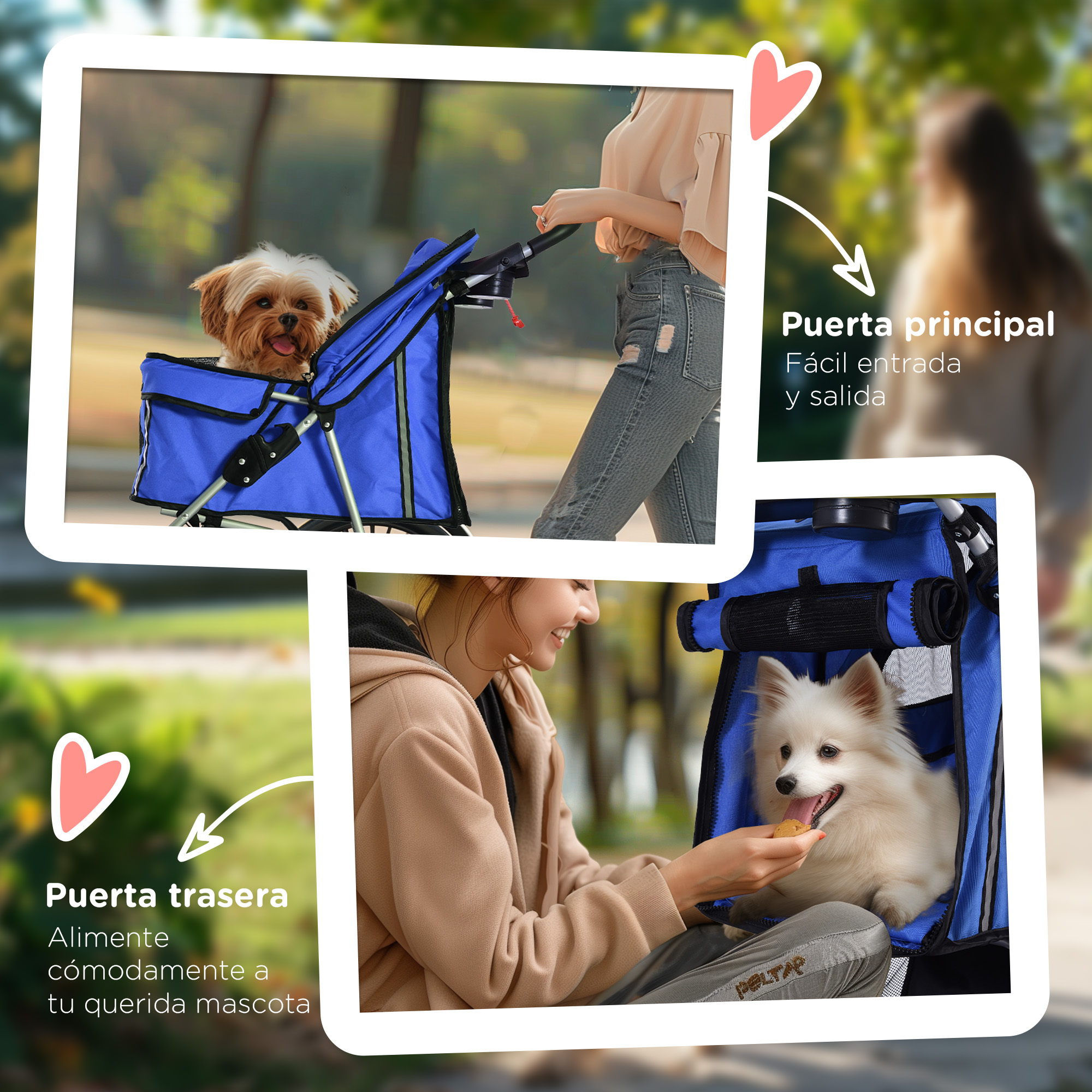 Imágenes muestran a un perro en un cochecito azul para mascotas. Una persona está alimentando al perro. Fondo: un parque.