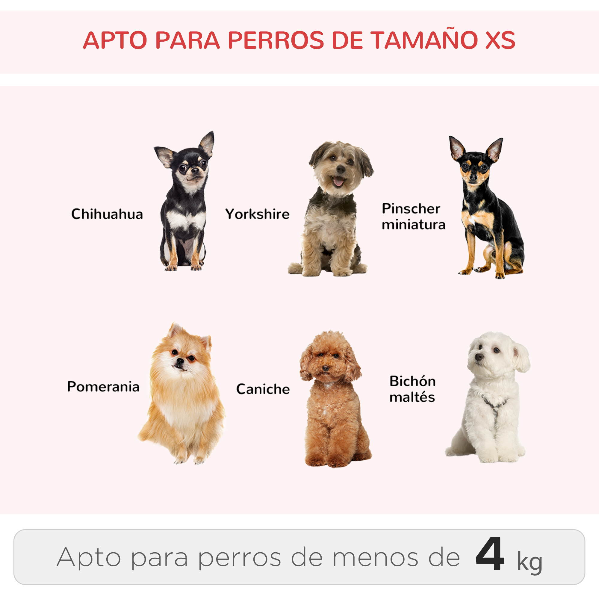 Se muestran seis razas de perros con sus nombres. El texto dice 'Apto para perros de menos de 4 kg'.